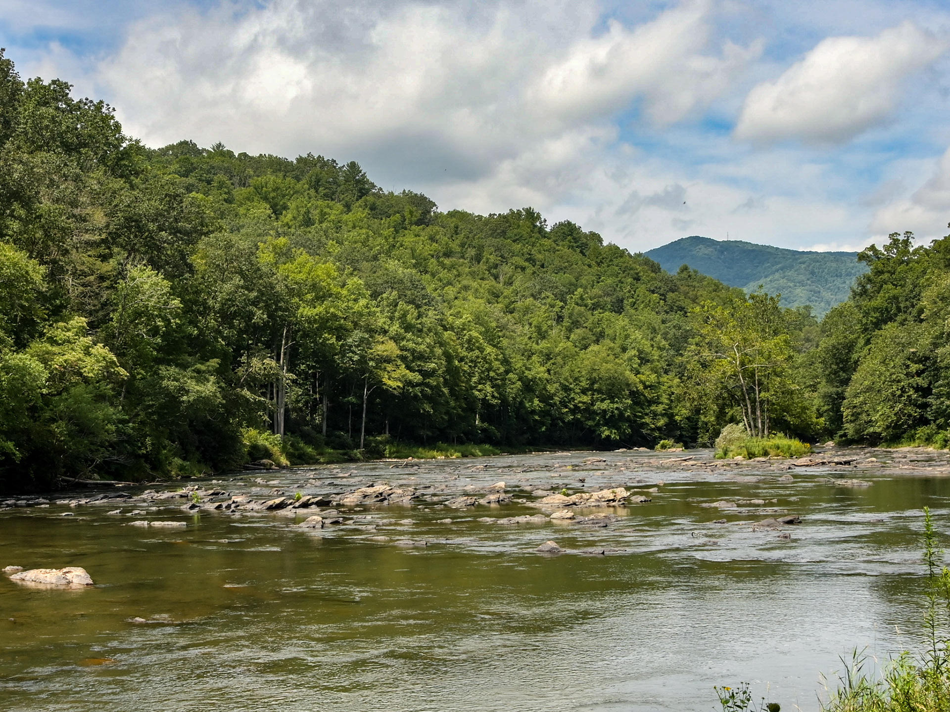 Piegon River, Clyde, NC