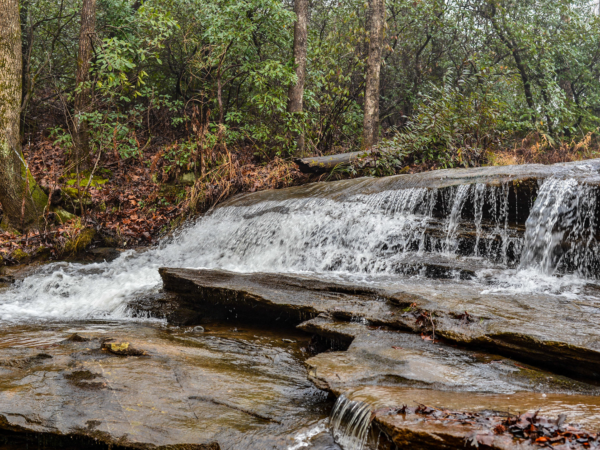 Columbus, NC