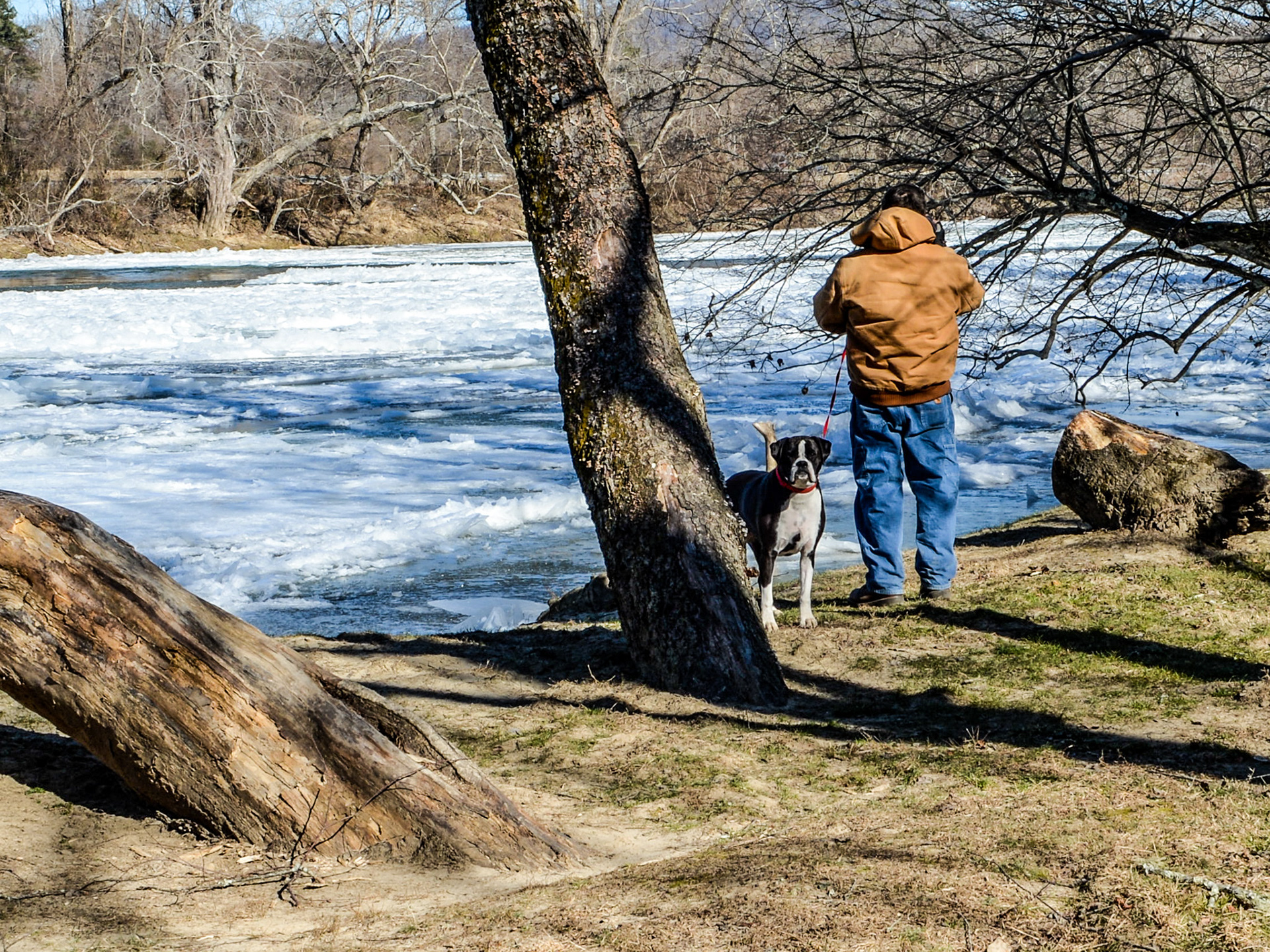 French Broad River, Arden, NC
