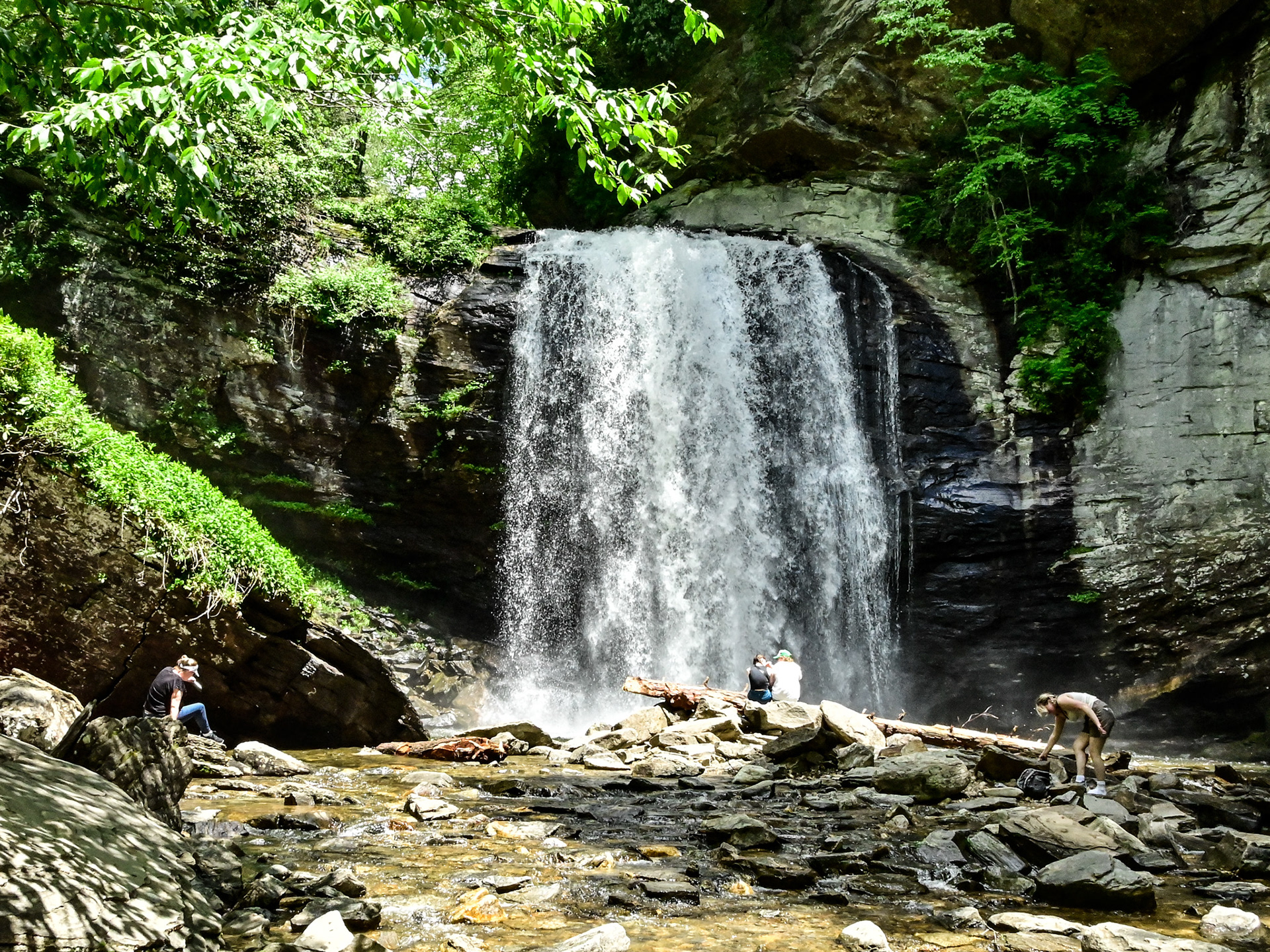 Looking Glass Falls, Brevard, NC