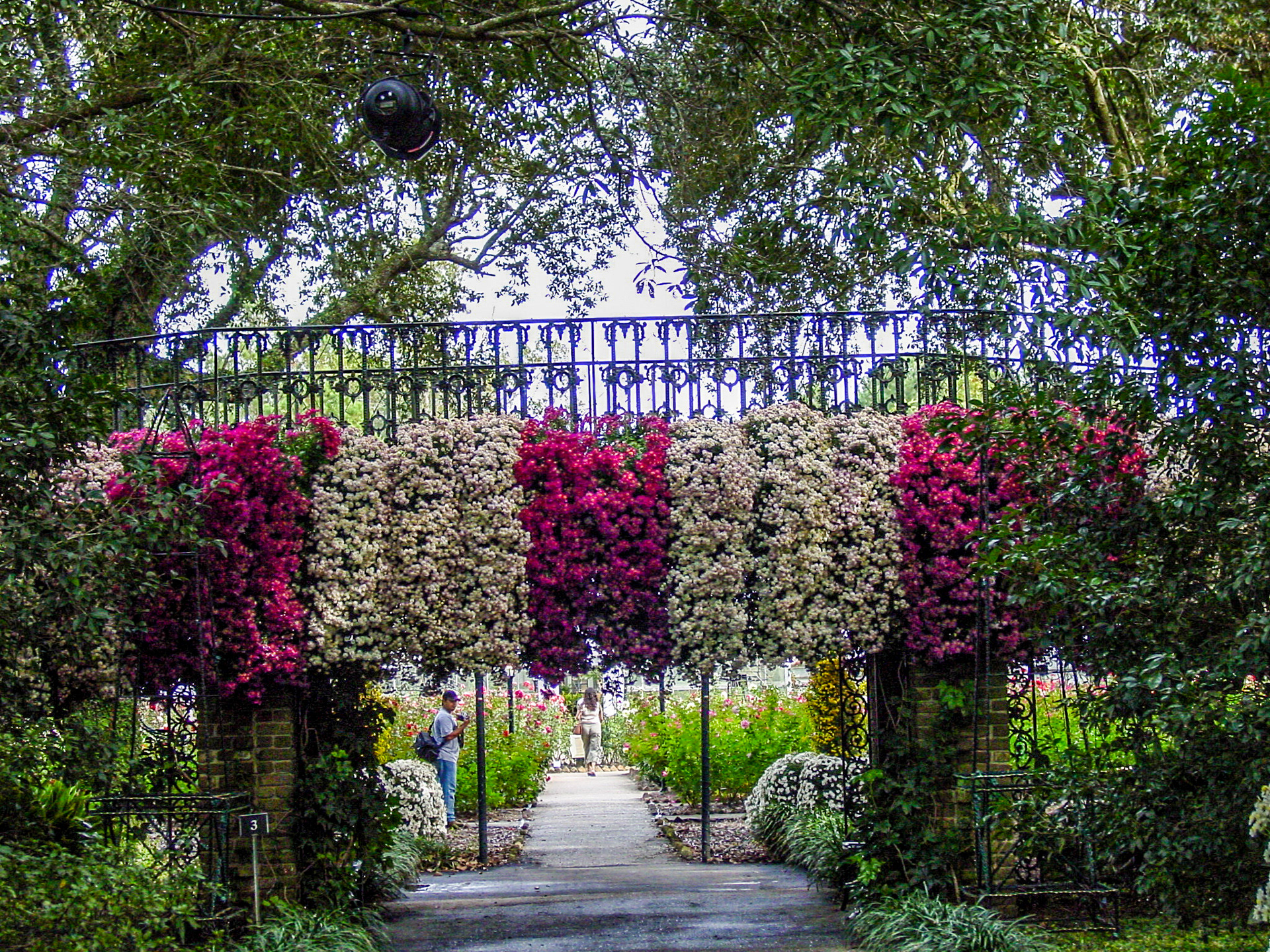 Bellingraph Gardens -Theodore, AL