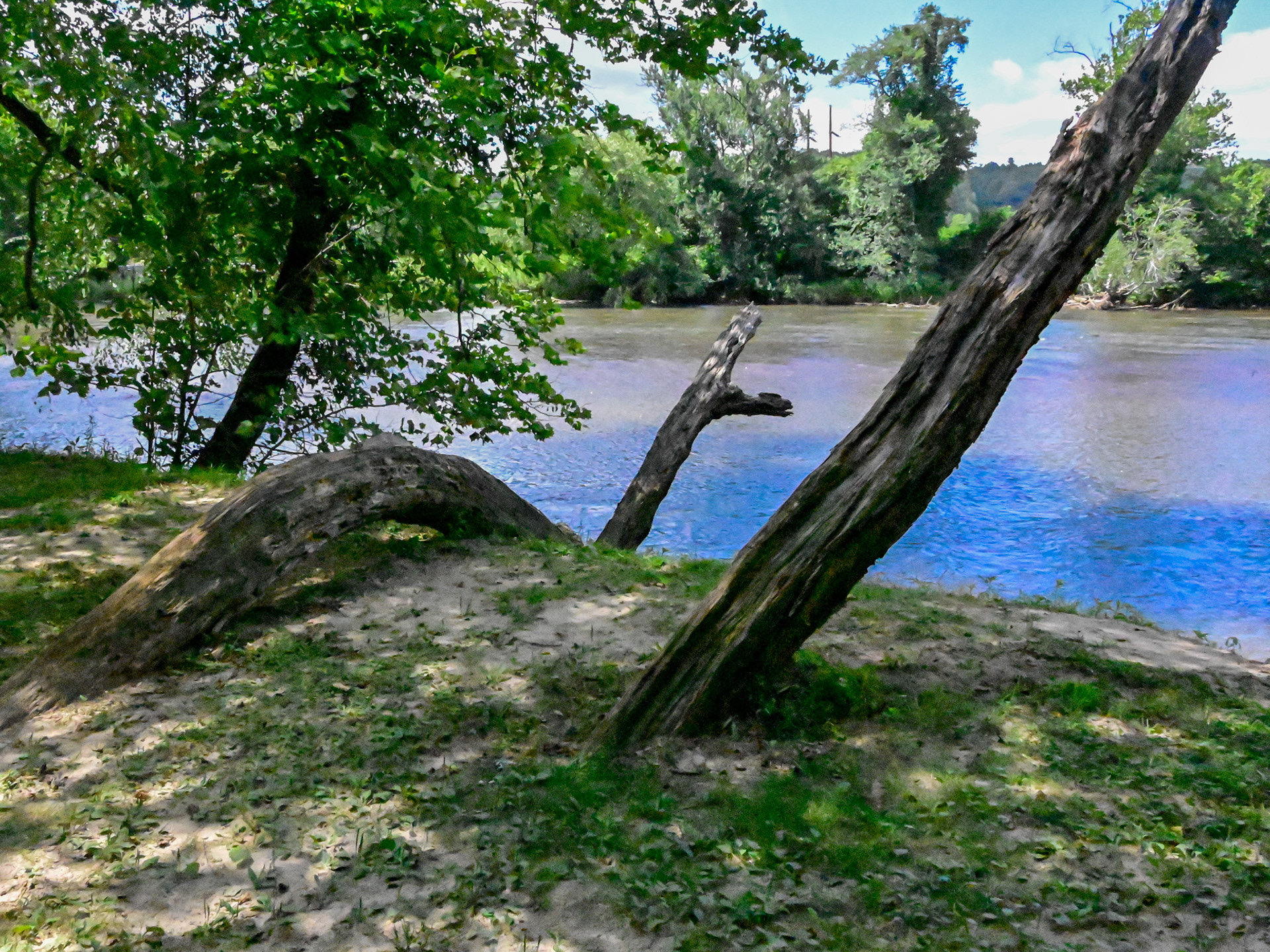 French Broad River, Arden, NC