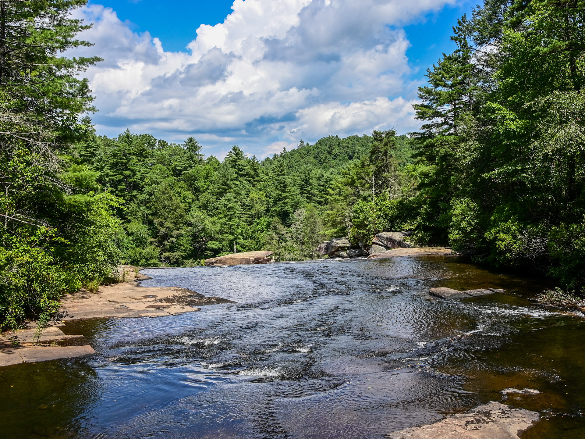 Little River, DuPont Forest, cedar Mountain, NC