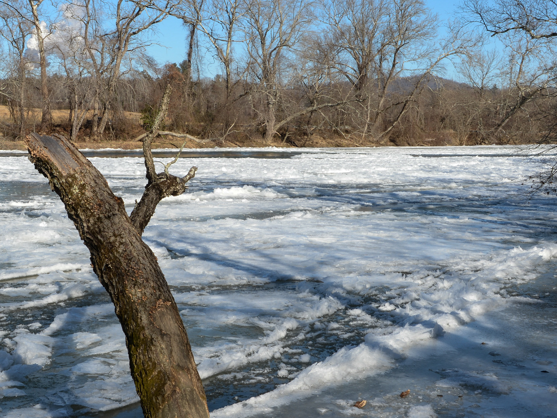 French Broad River, Arden, NC