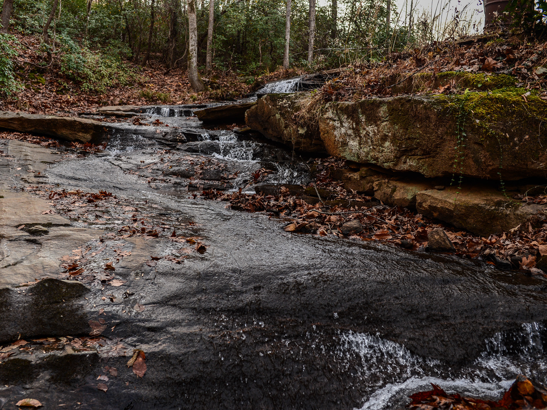 Columbus, NC