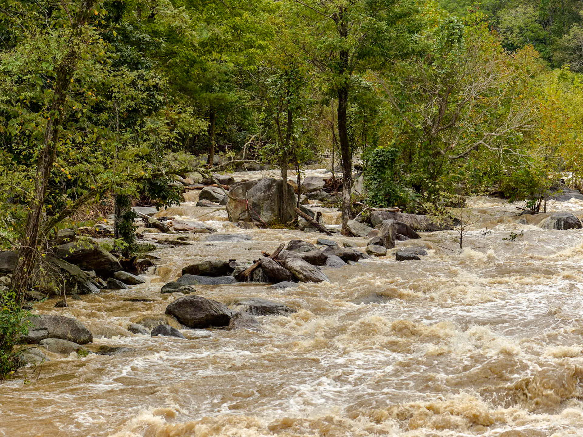 Broad River, Lake Lure, NC