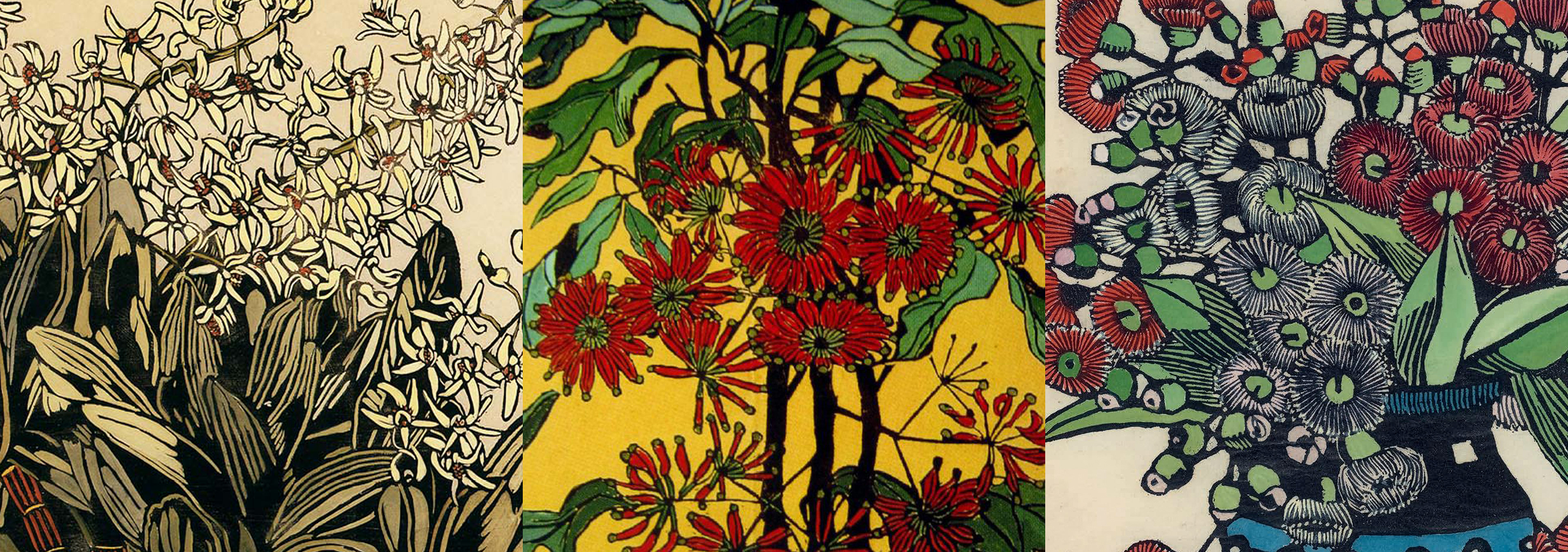 The magic of Margaret Preston. From the left: Australian Rock Lily 1933, Wheelflower 1929, Gum Blossoms 1928