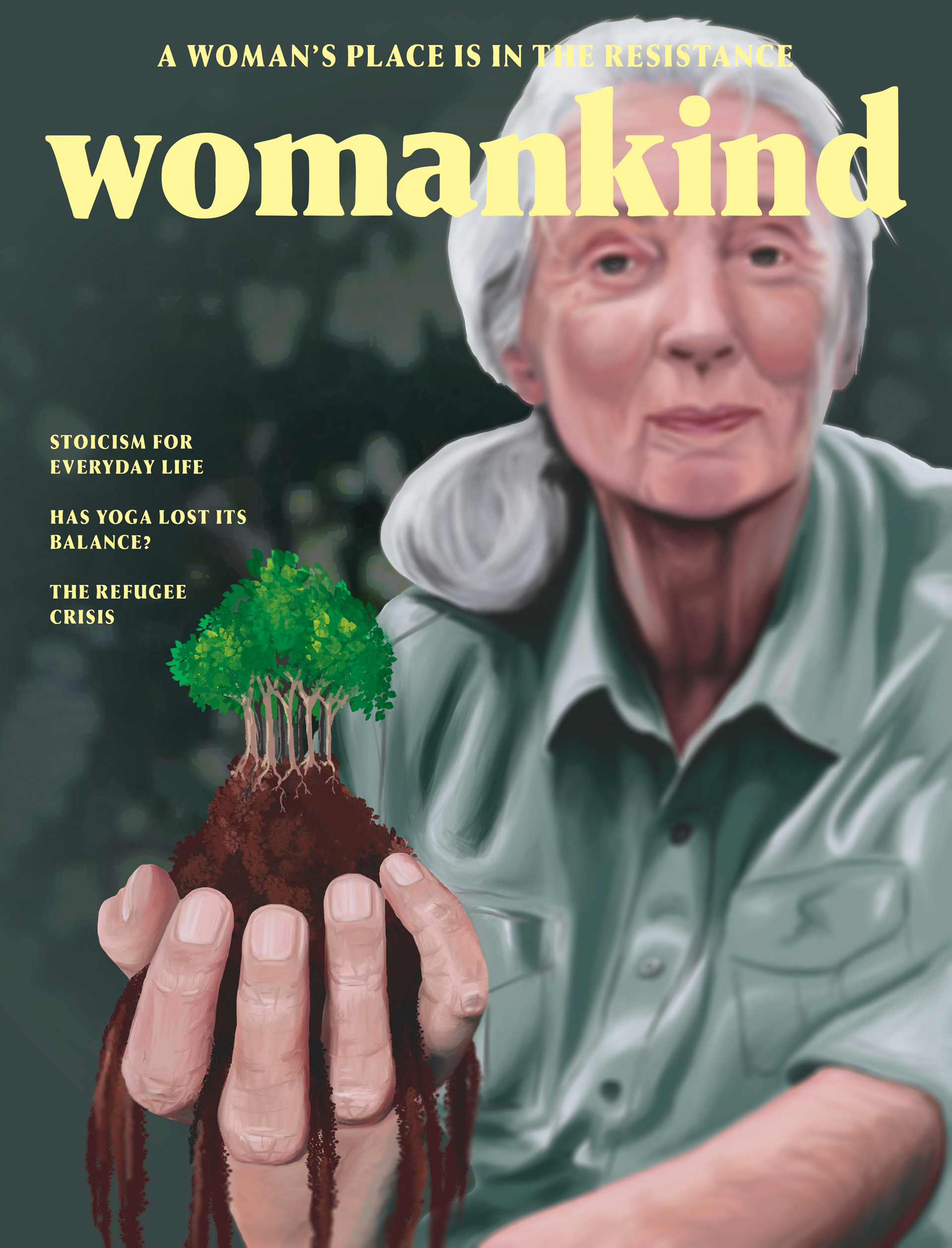 Mock cover application