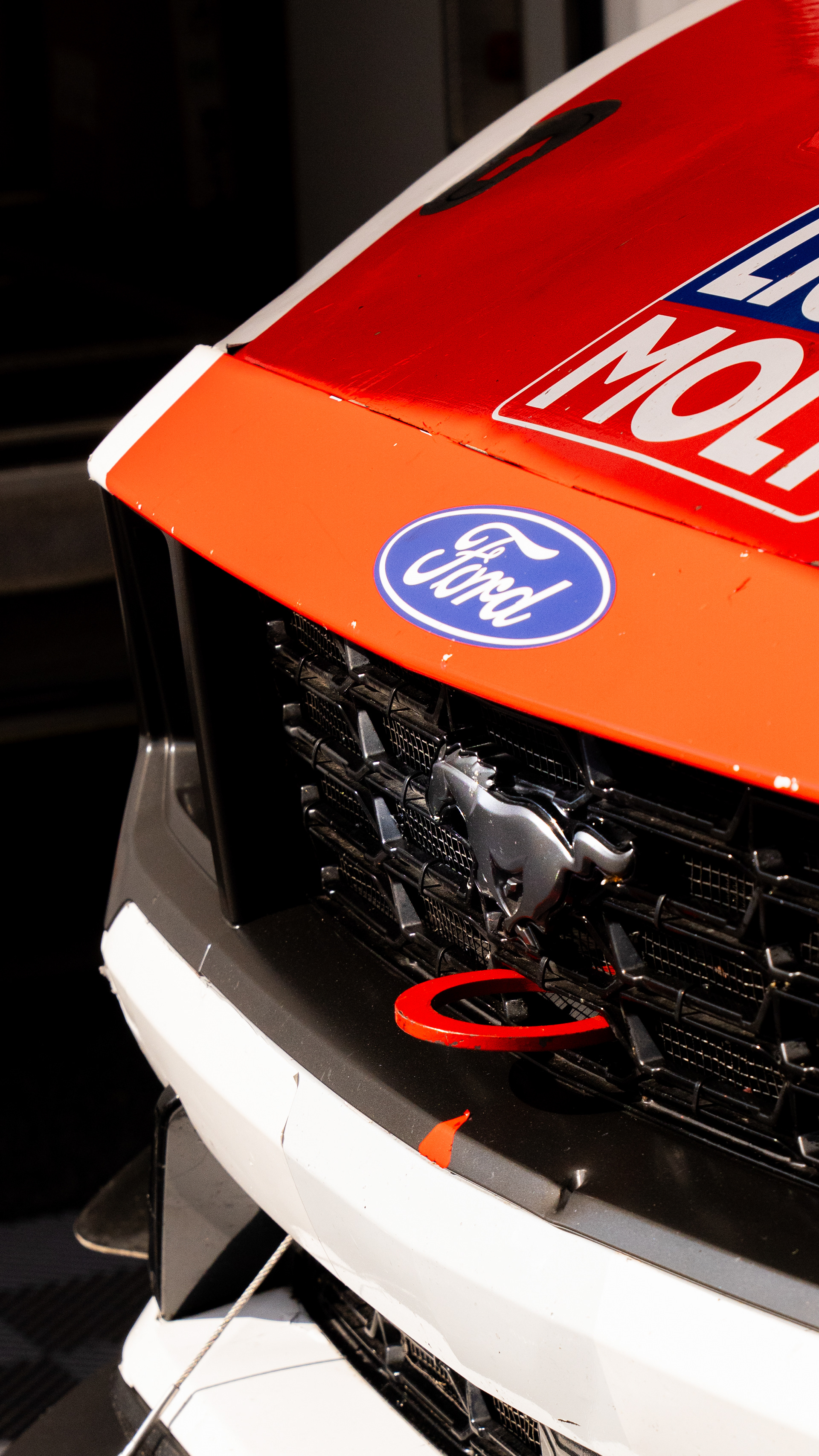 FESTIVAL VELOCIDAD 2025