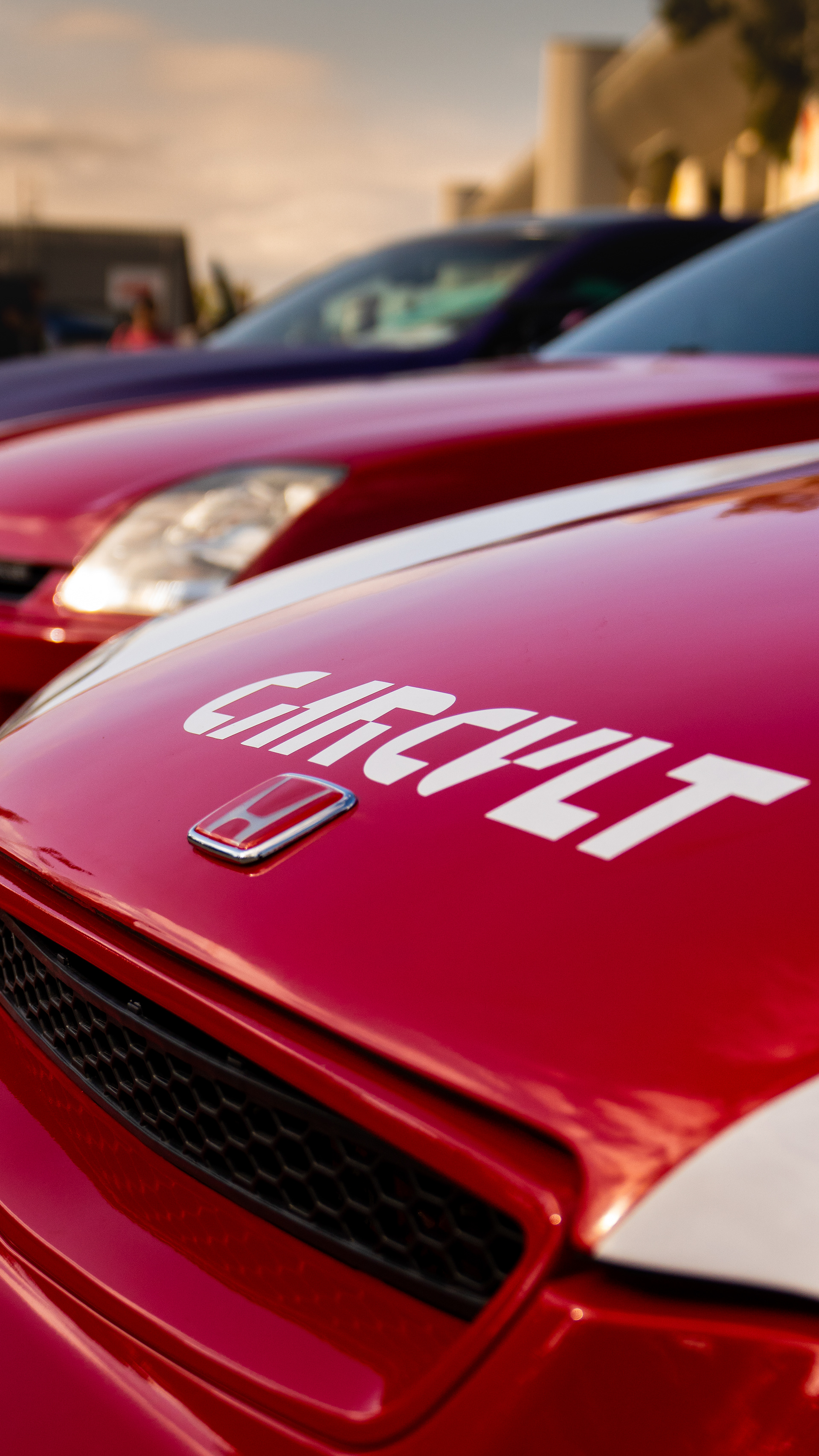 FESTIVAL VELOCIDAD 2025