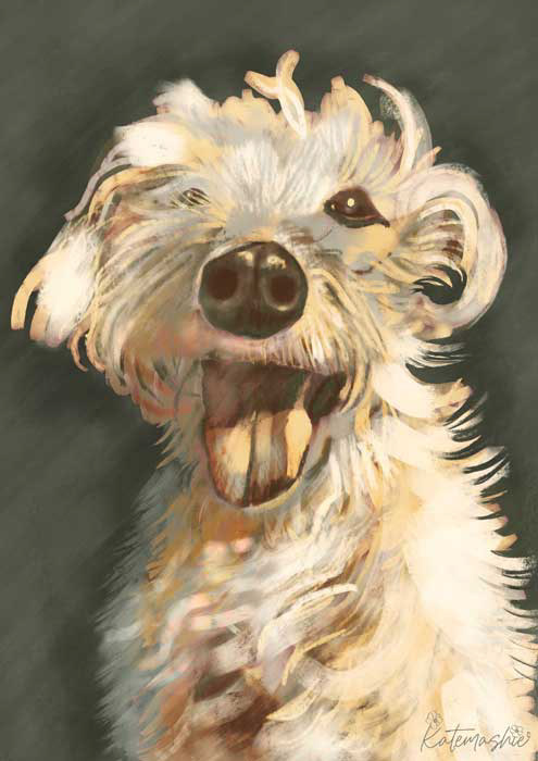 'Whipplington' Lurcher