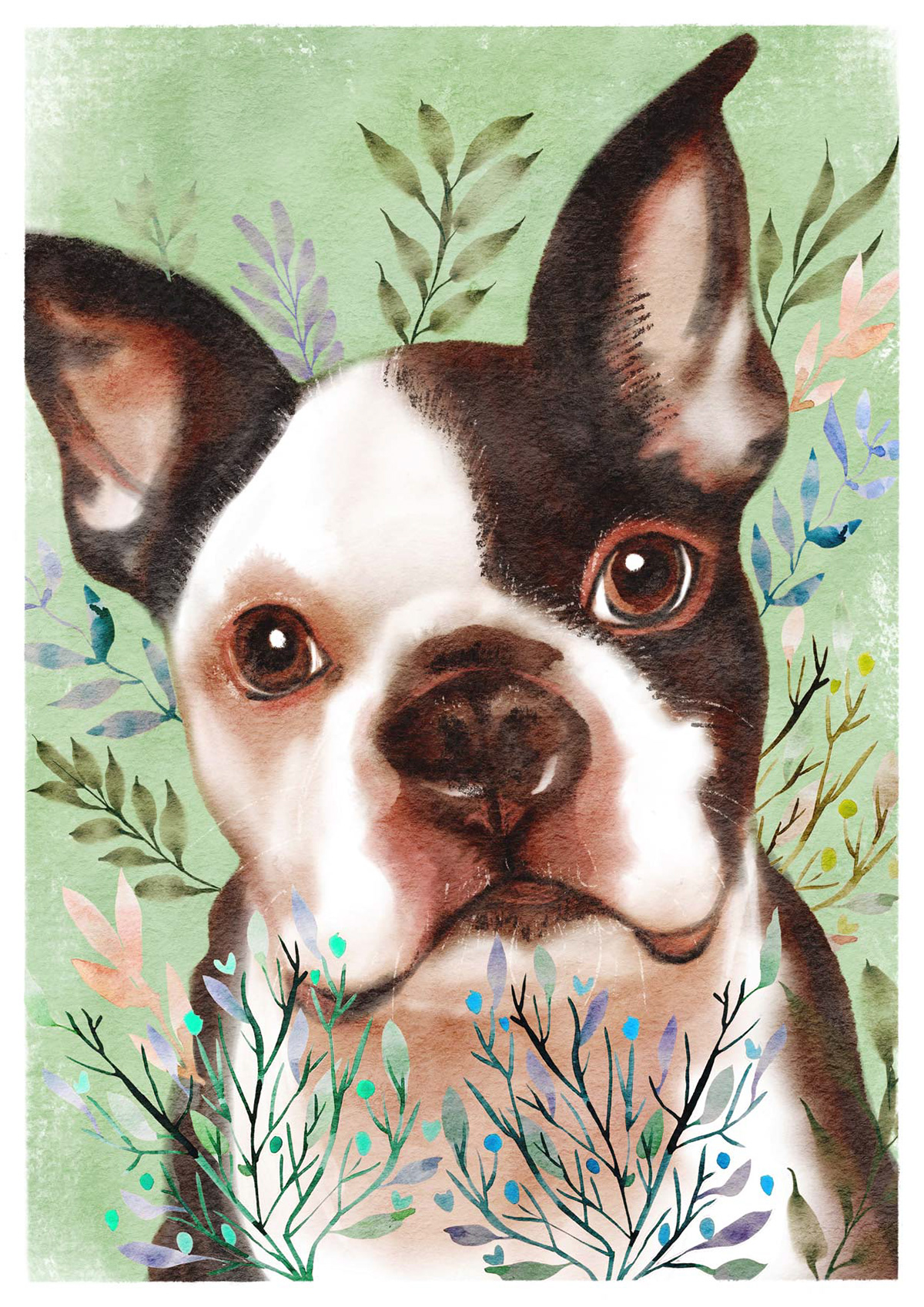 "Boo" the Boston Terrier - Available as an A4 print or greeting card