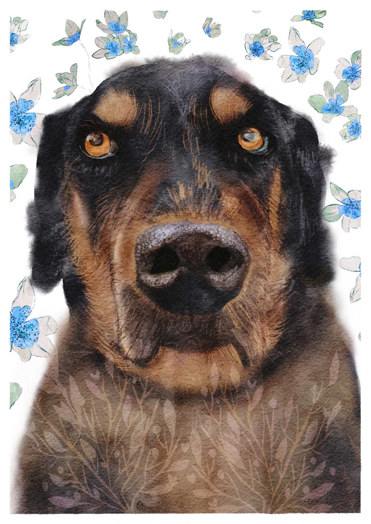 Brownstone the dog - Available as an A4 print or greeting card