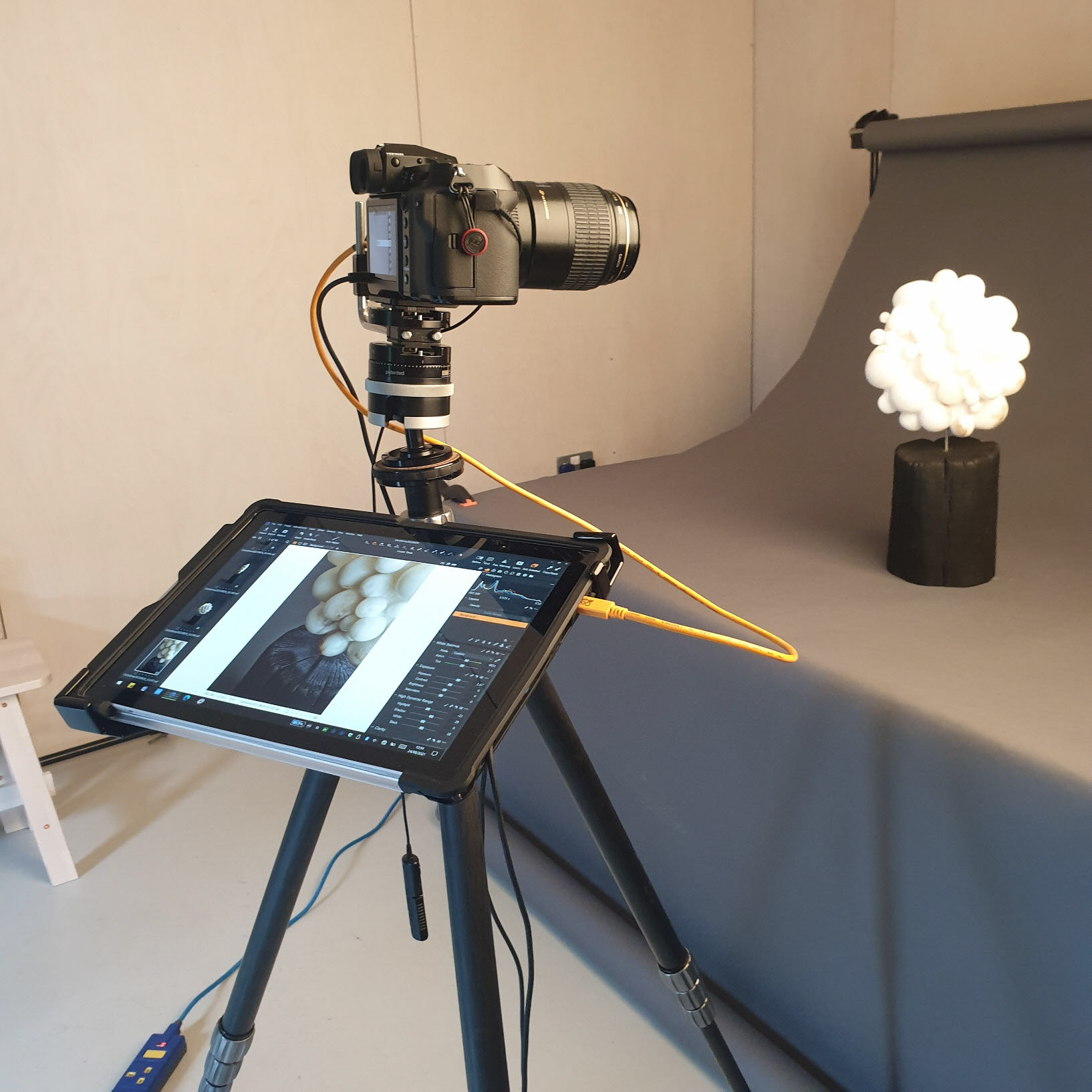 Photoshoot by Adrian Lambert