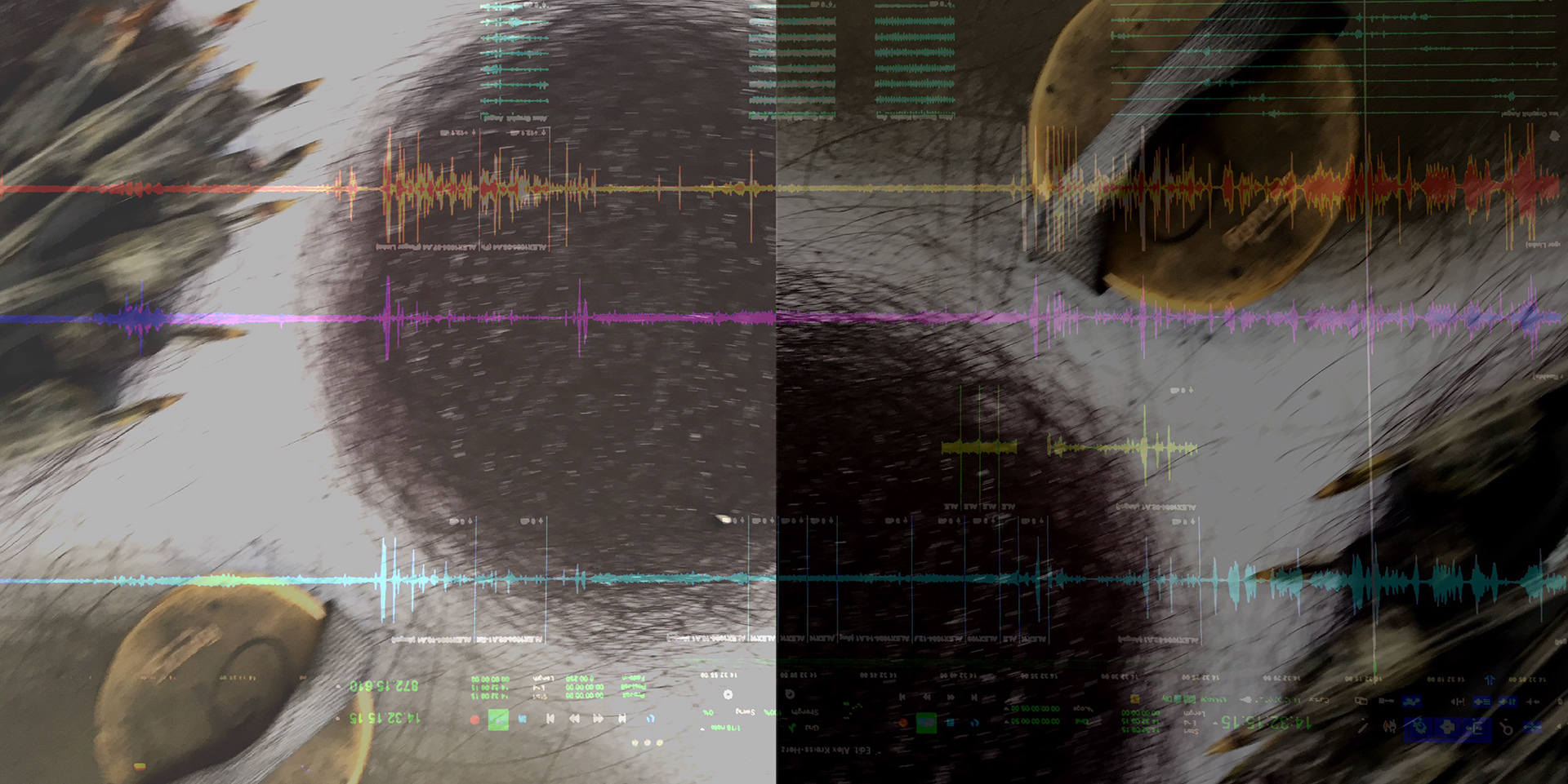 Alexander Nüsslein © Dröhnung –  Die Verbreitung konstruktiven Gedankenguts 