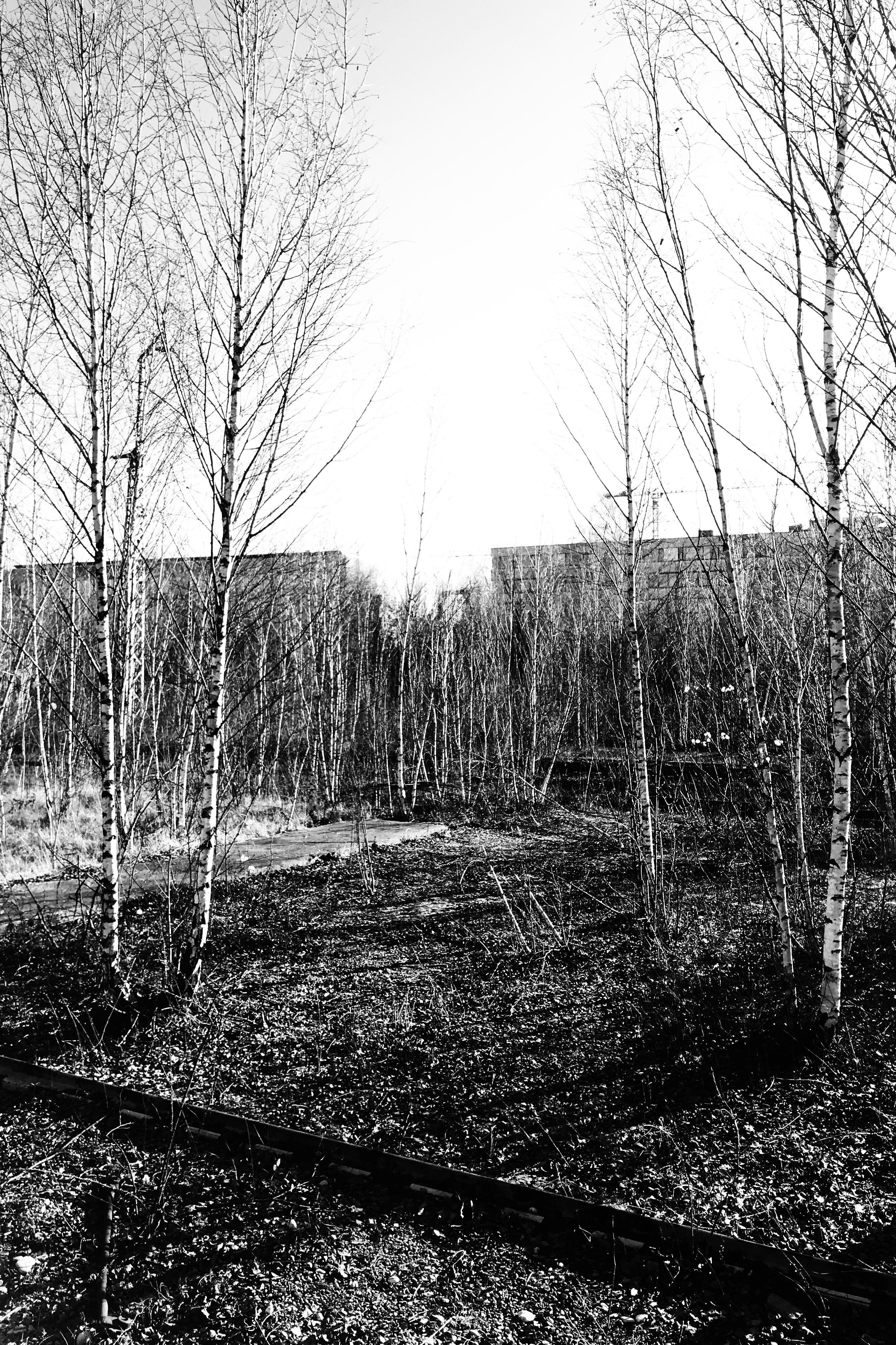 Baumkirchen Mitte © Tom Garrecht