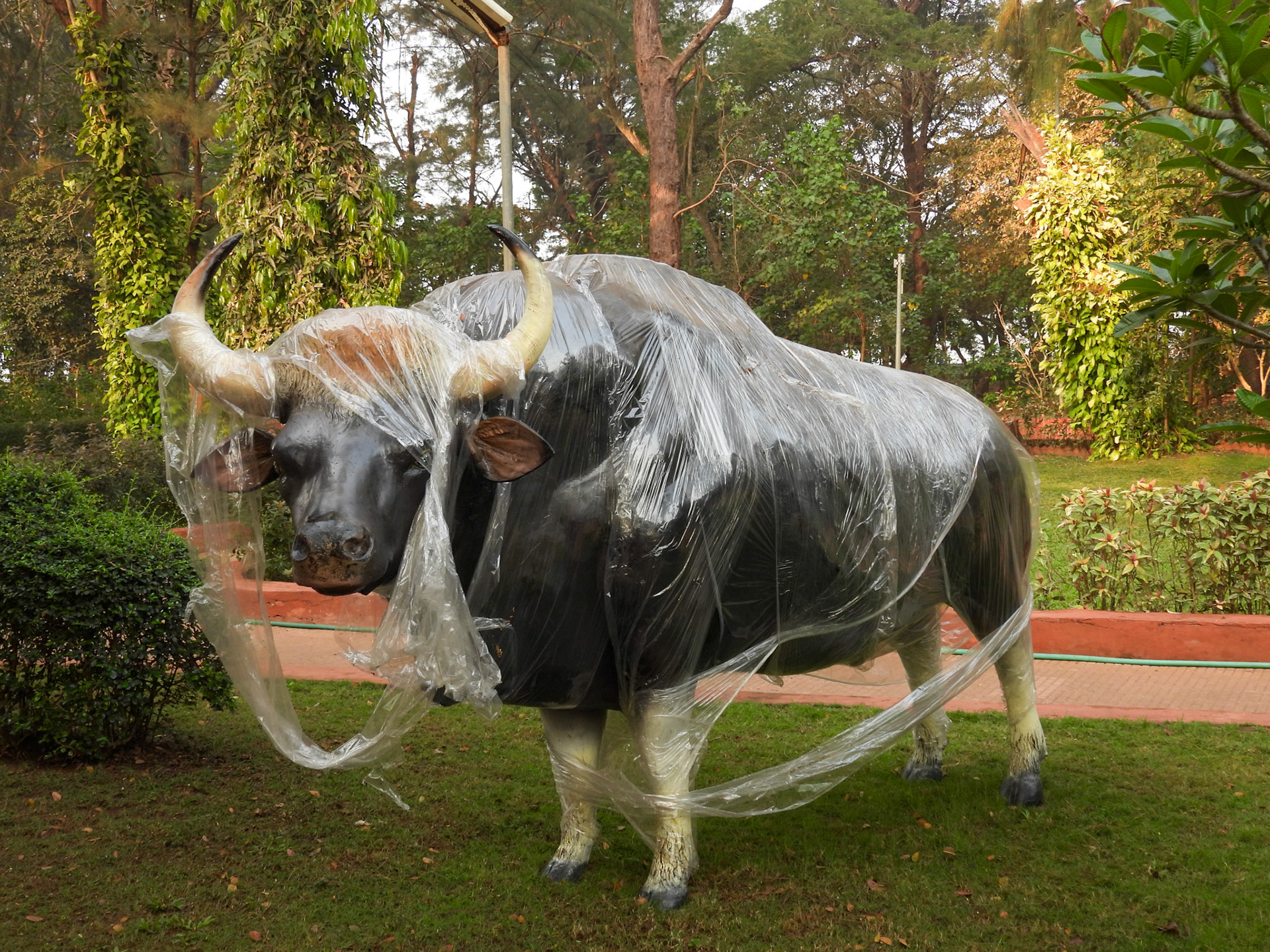 This week’s caption competition!