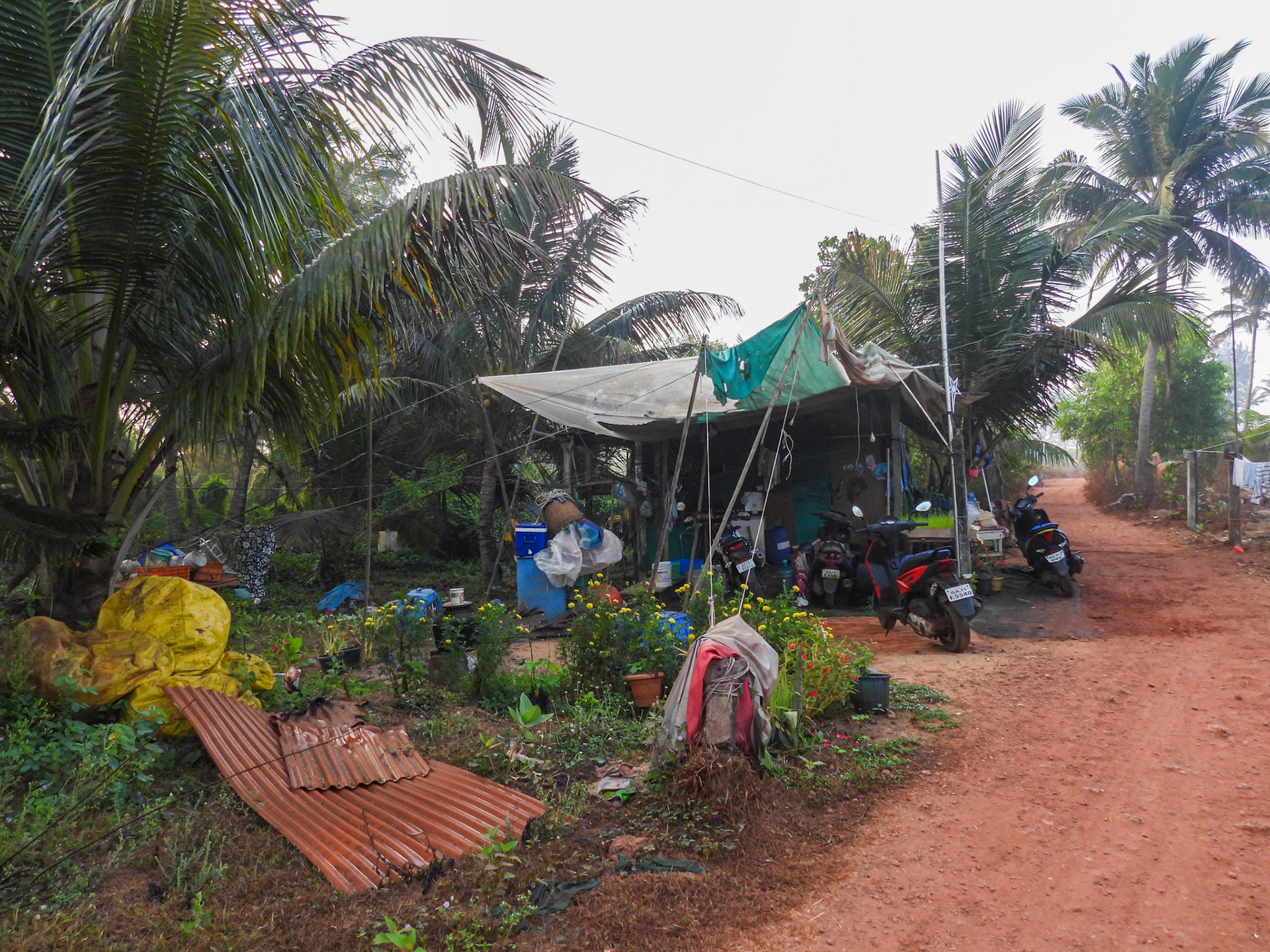 Path midway along the Arambol Dunes