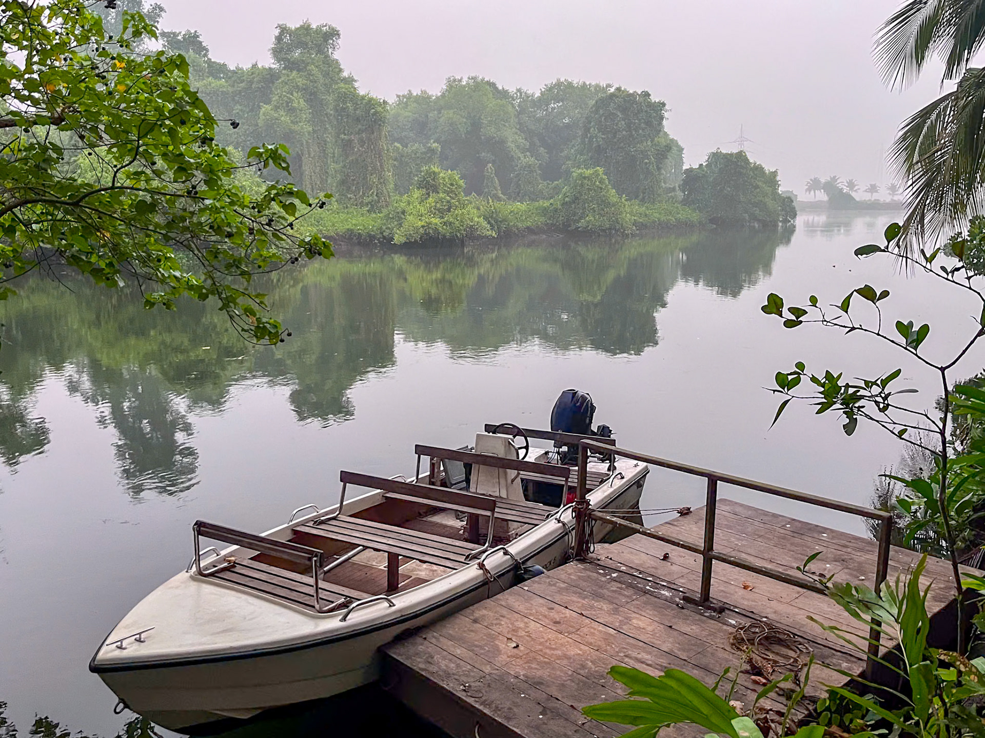 Moira River from Fishtail Creek