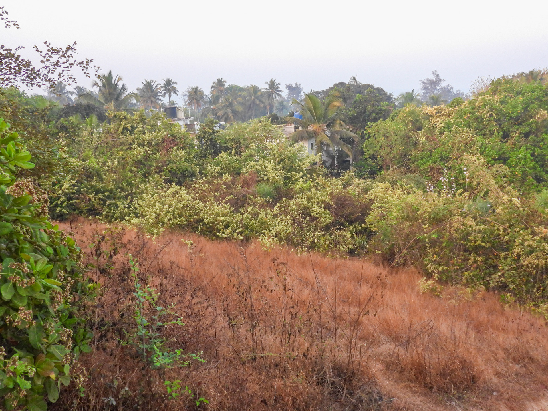 Giroba temple Grounds
