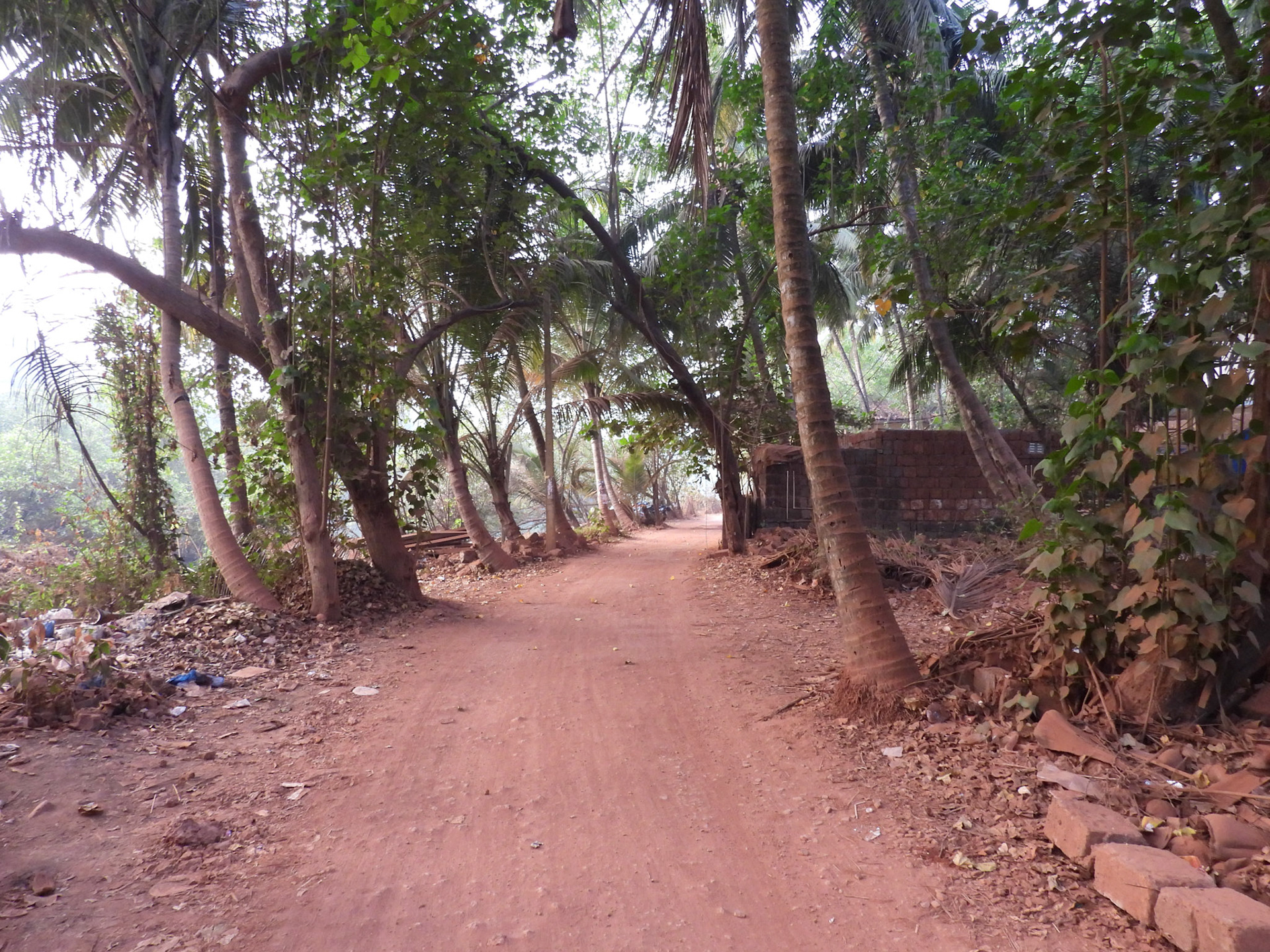 Path alongside the creek
