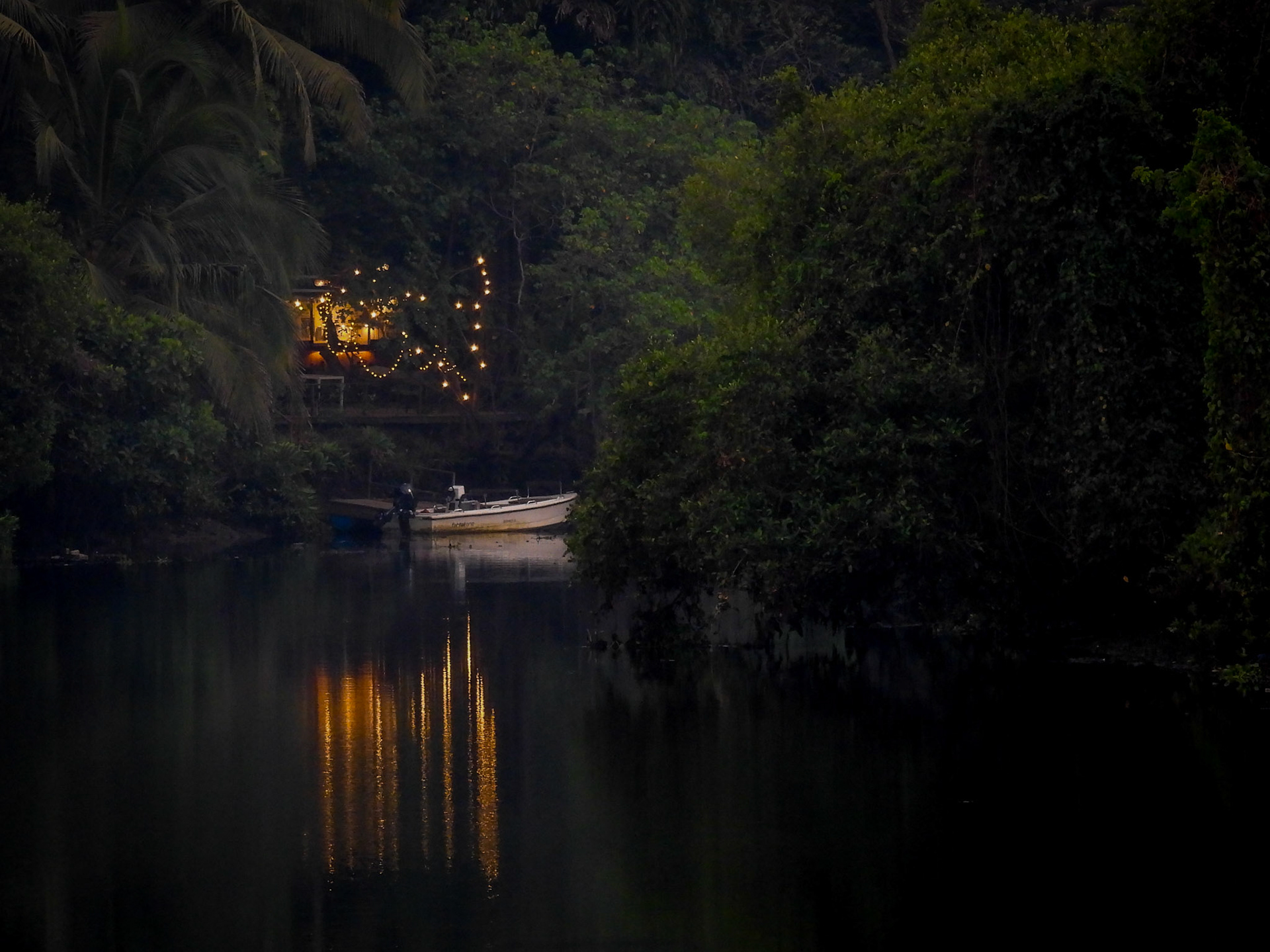 Fishtail Creek from the Moira