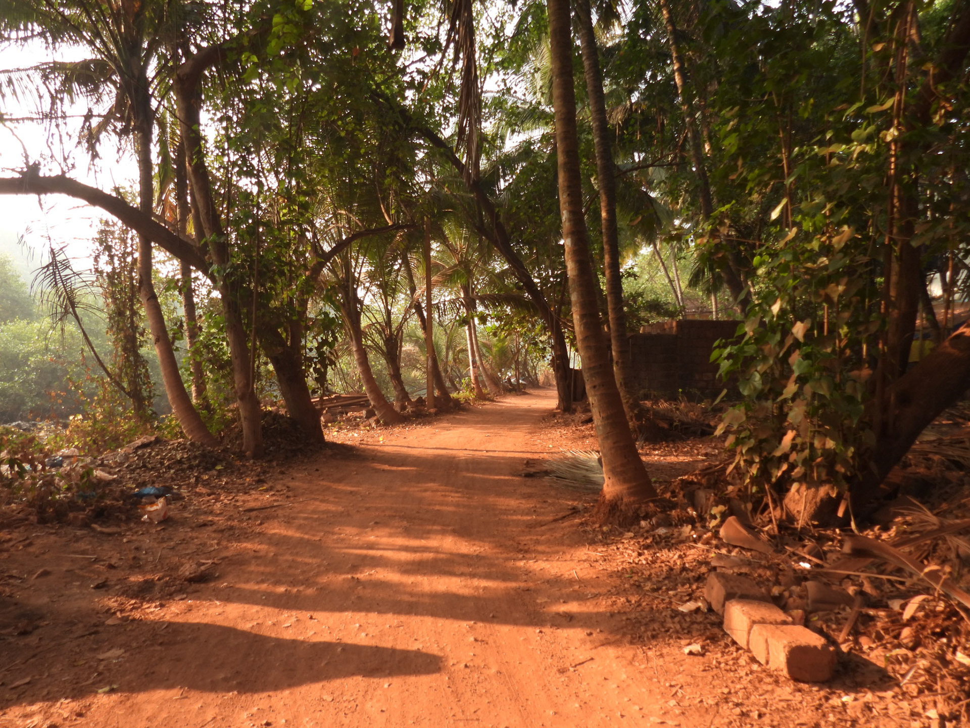 Path alongside Mandrem Creek
