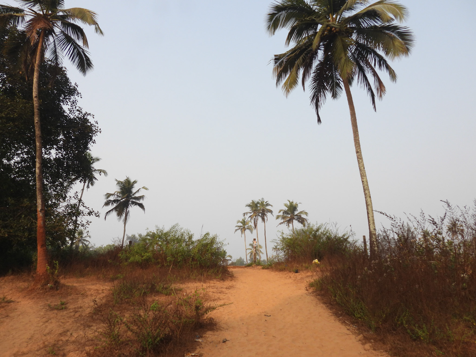 Path leading on to Arambol Dunes