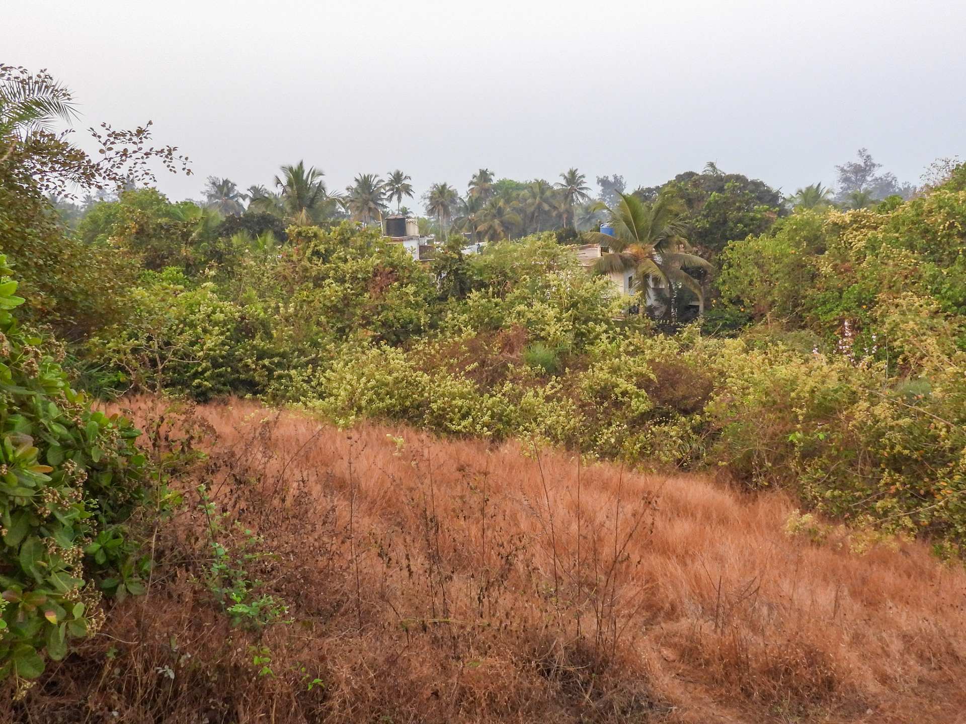 Bank in front of Giroba temple - Just sit here and wait