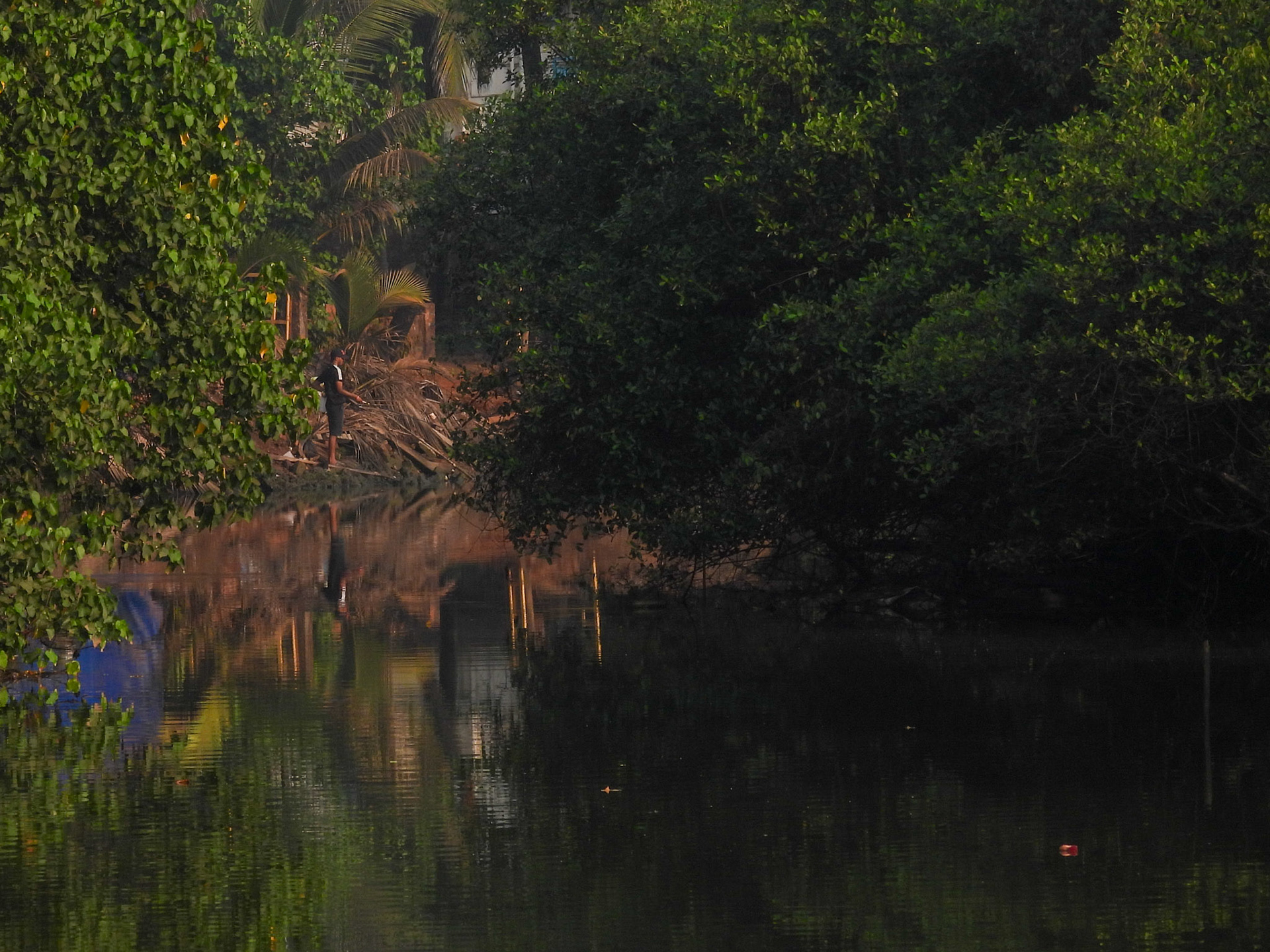 A Fisherman on Mandrem Creek