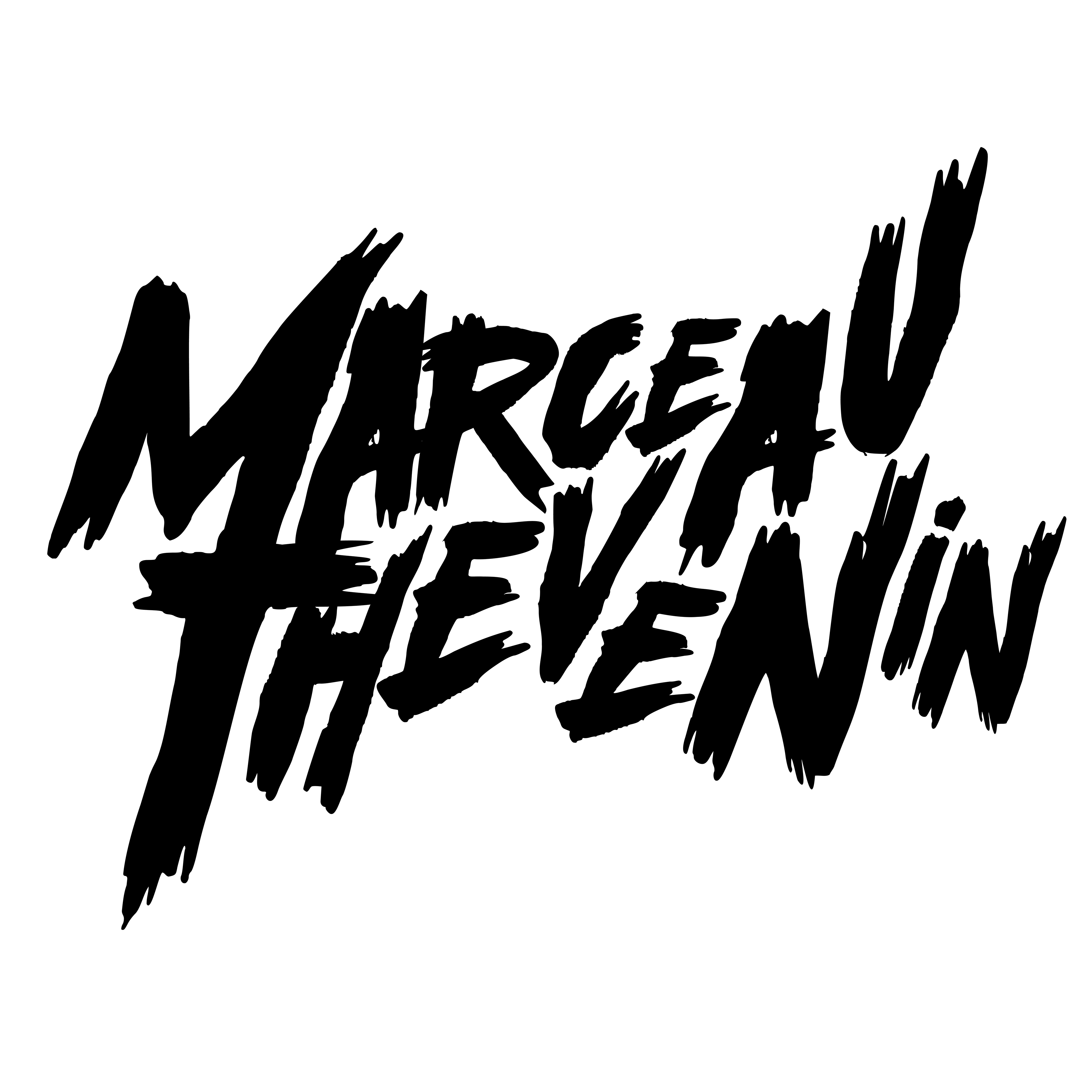 Marceau THEVENIN