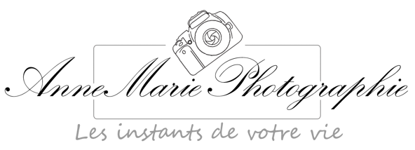 Photographe professionnelle au Mans et en Sarthe – AnneMariePhotographie