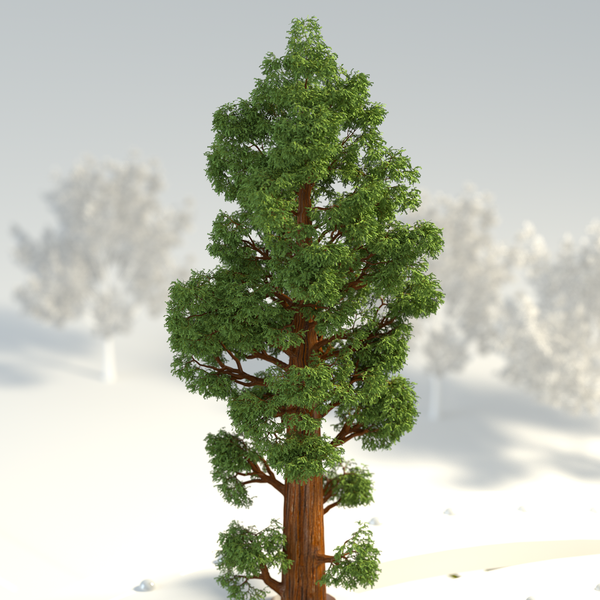 3D Render Via Dotta Zonnenpanelen doublemen yan paul dubbelman