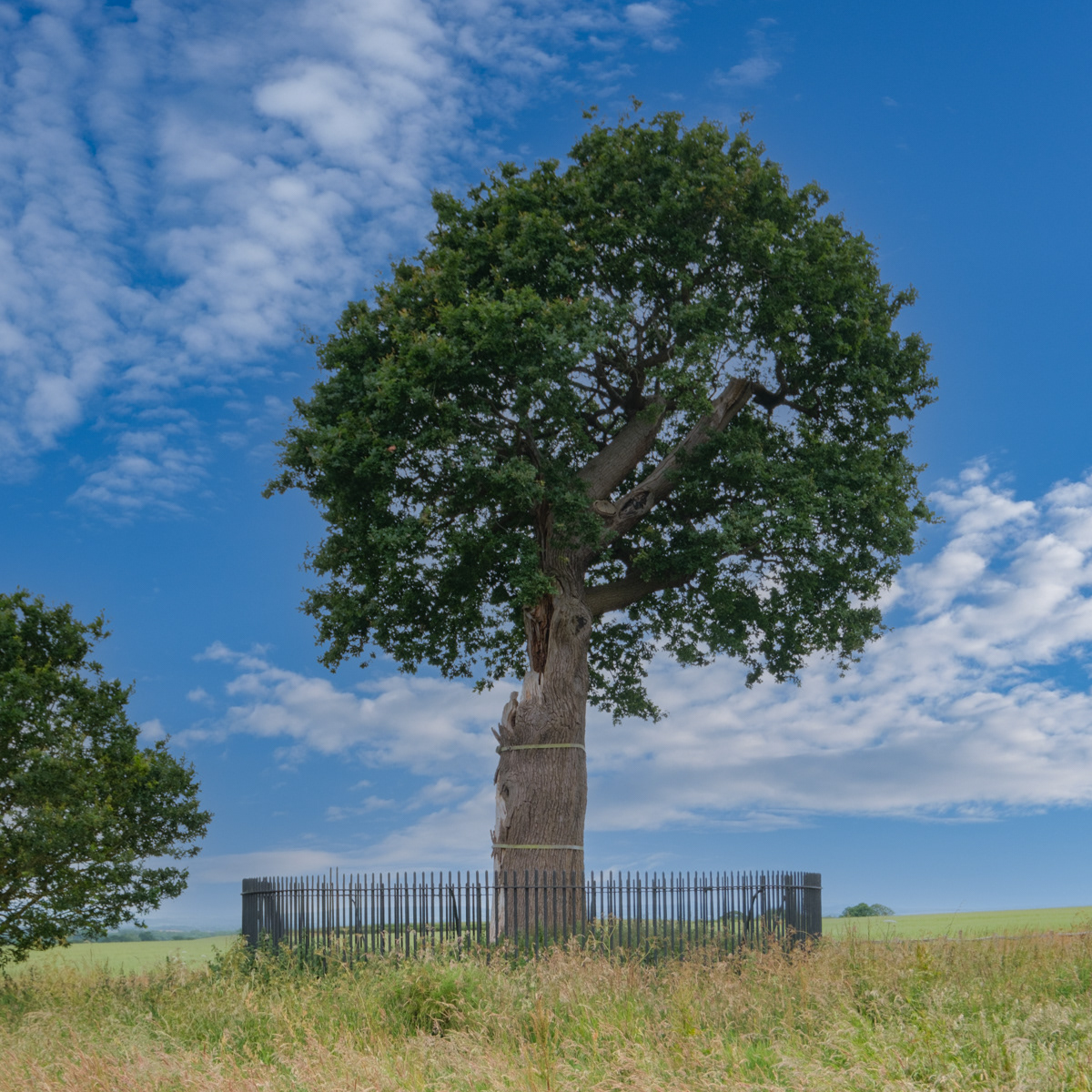 Boscobel