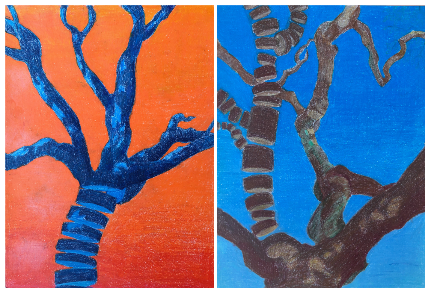trees. colored pencil on paper, 2007