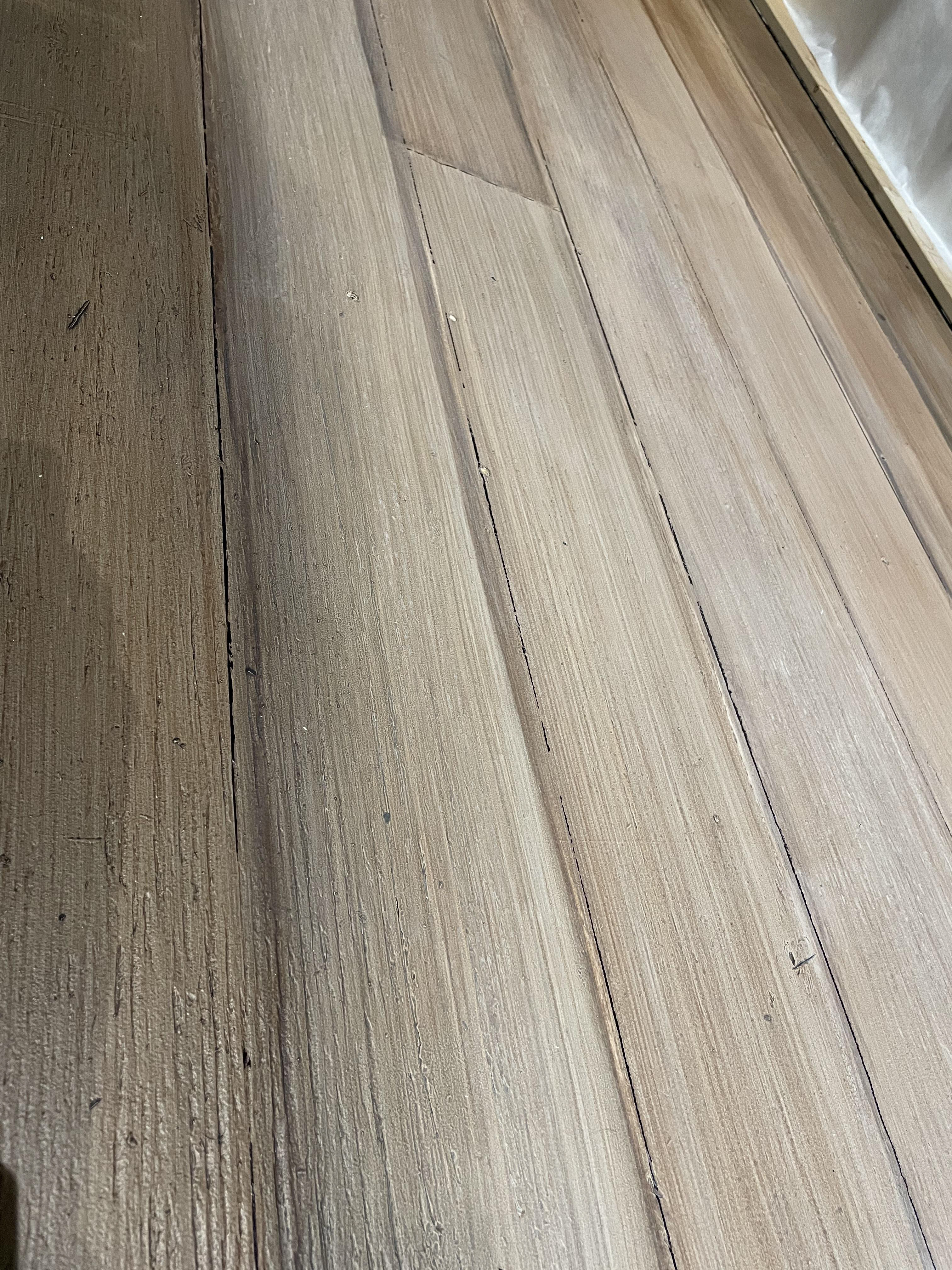 Jane Austen Action Figure