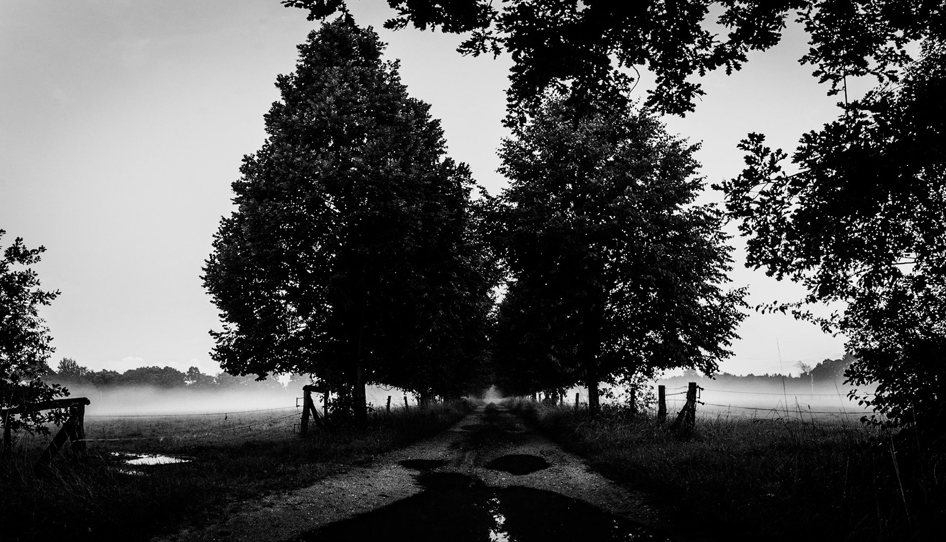 Old Alley - Klein Krauscha