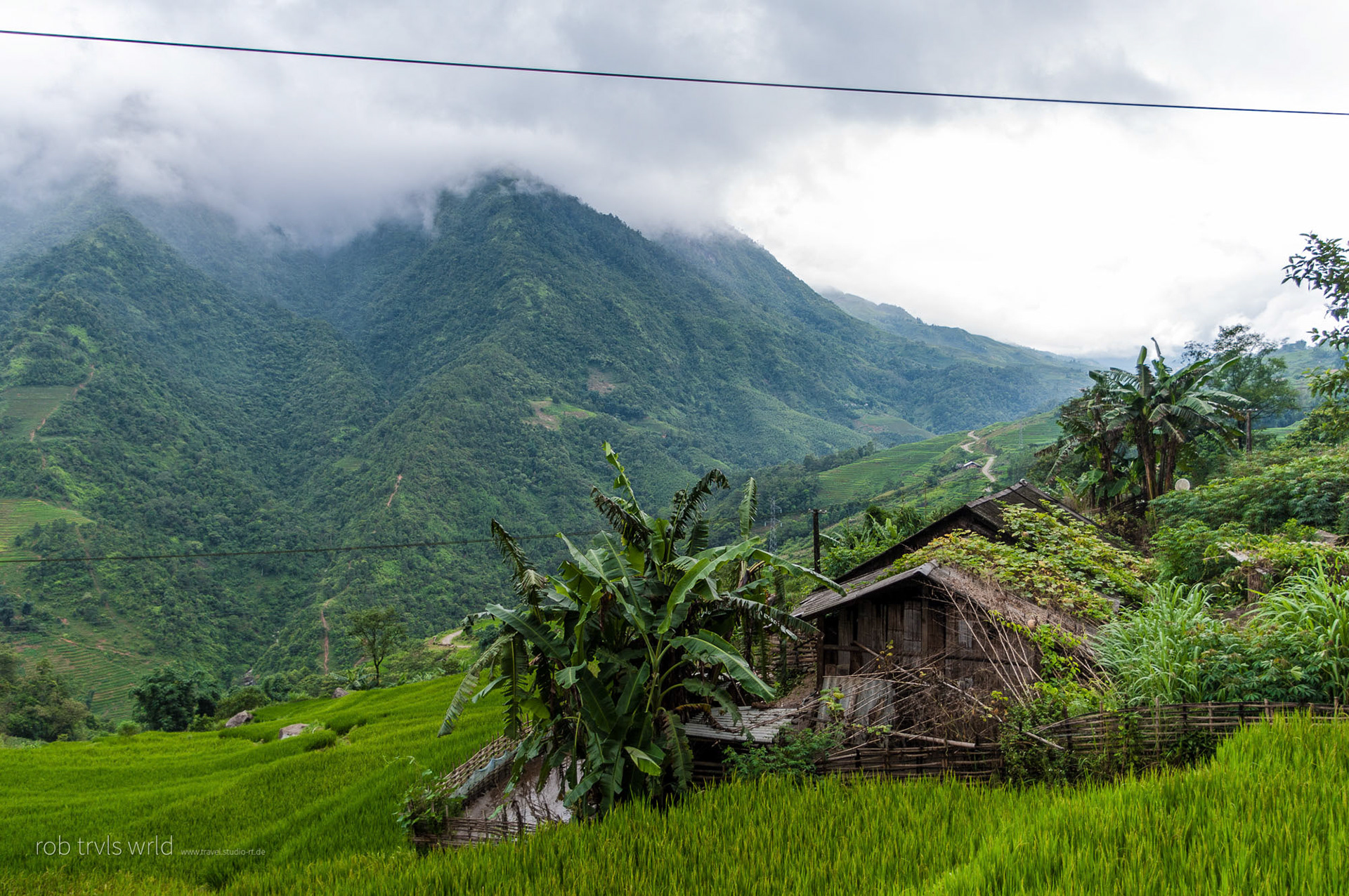 Vietnam Green - Sapa