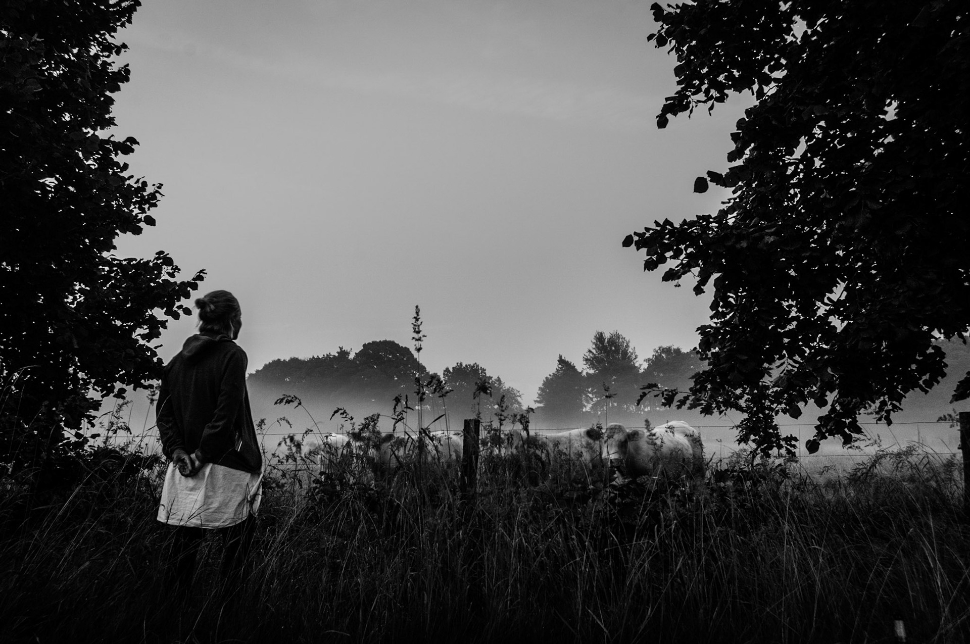 Counting the Cows - Klein Krauscha