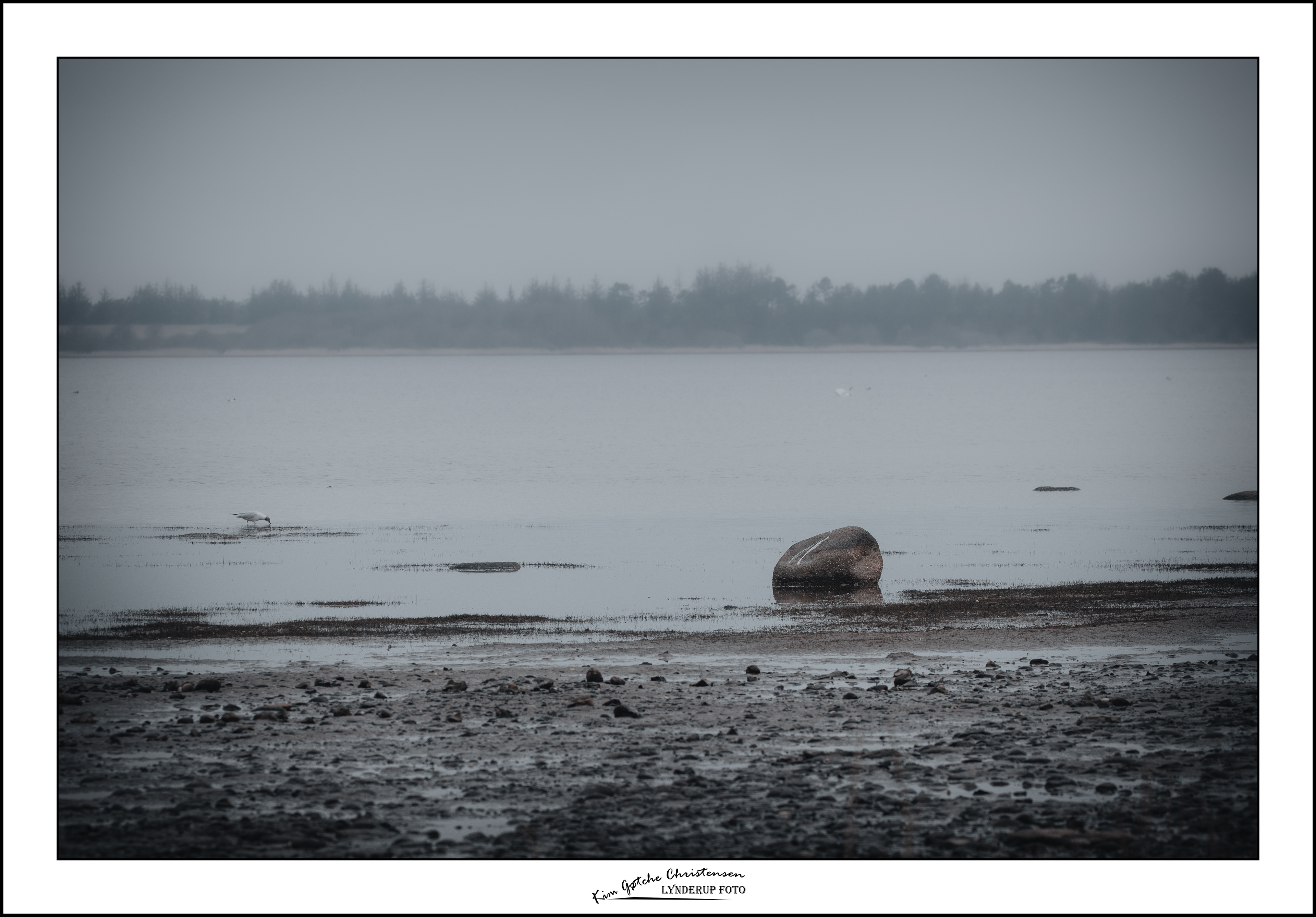 Sten i vandet ud for Lynderup Strand.