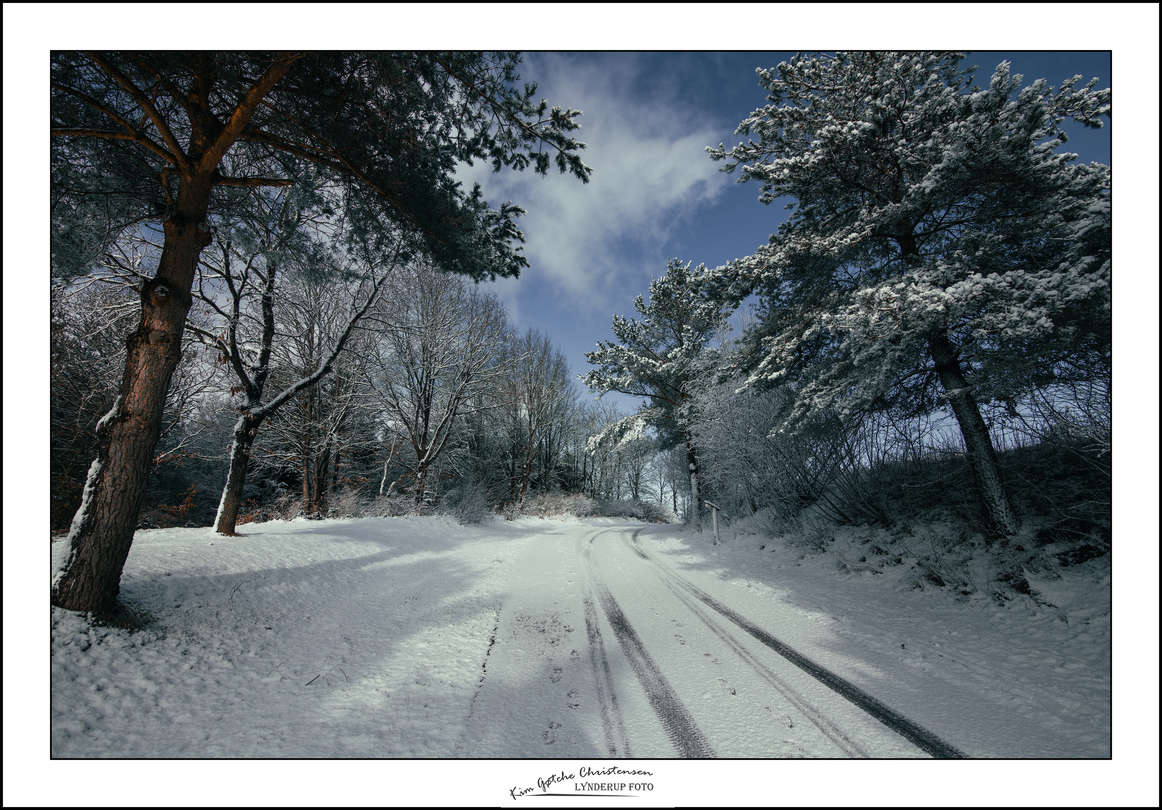 Skovvej ved Hjarbæk Golf klub.