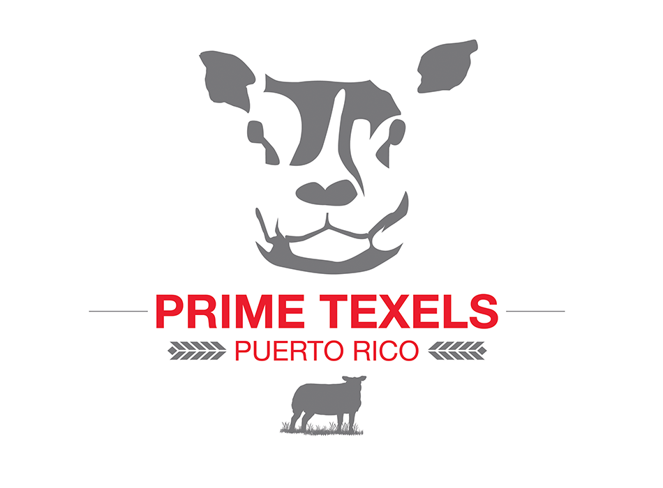 Logo para la compañía PRIME TEXELS de Puerto Rico (EXPORTADORES)