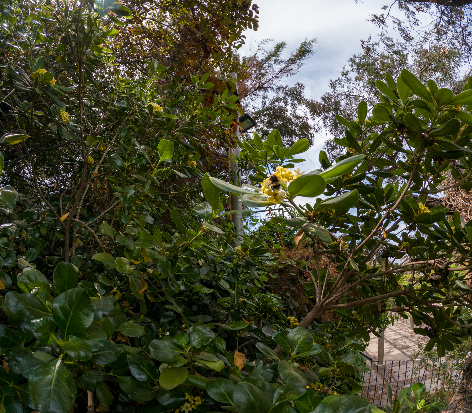 C:\DCIM\100GOPRO\GOPR0708.GPR