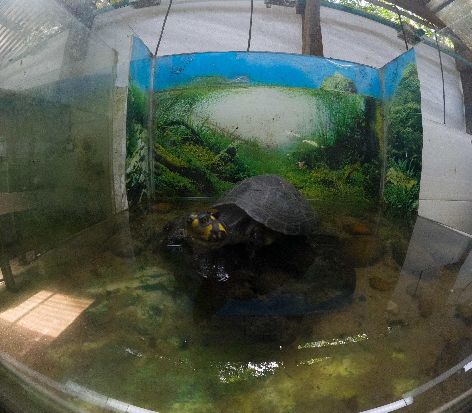 C:\DCIM\100GOPRO\GOPR2434.GPR