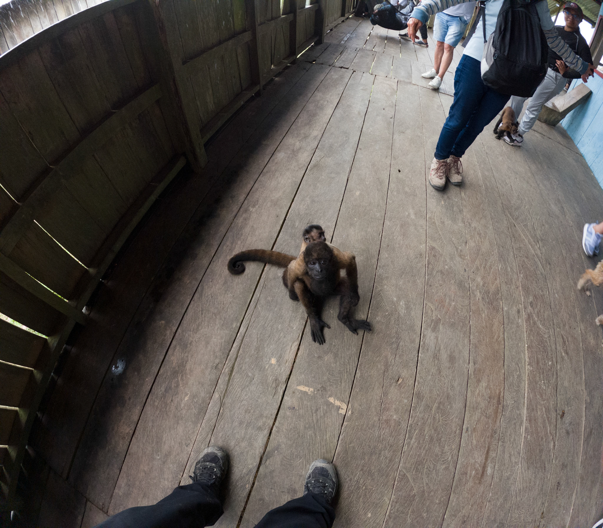 C:\DCIM\100GOPRO\GOPR2530.GPR