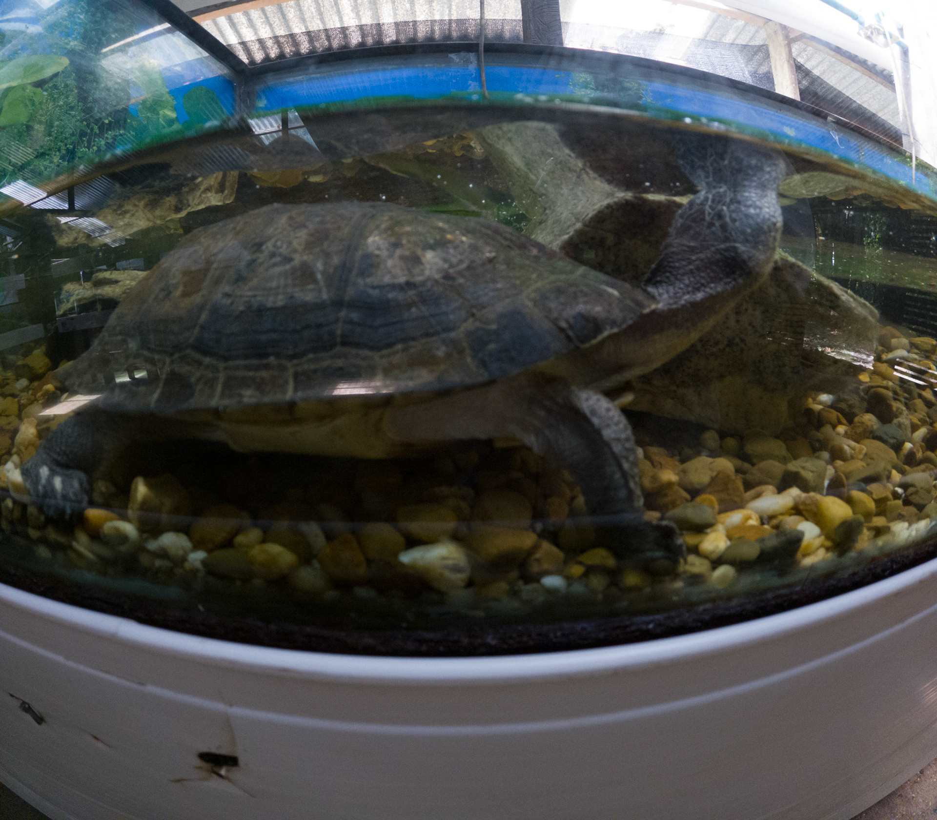 C:\DCIM\100GOPRO\GOPR2432.GPR