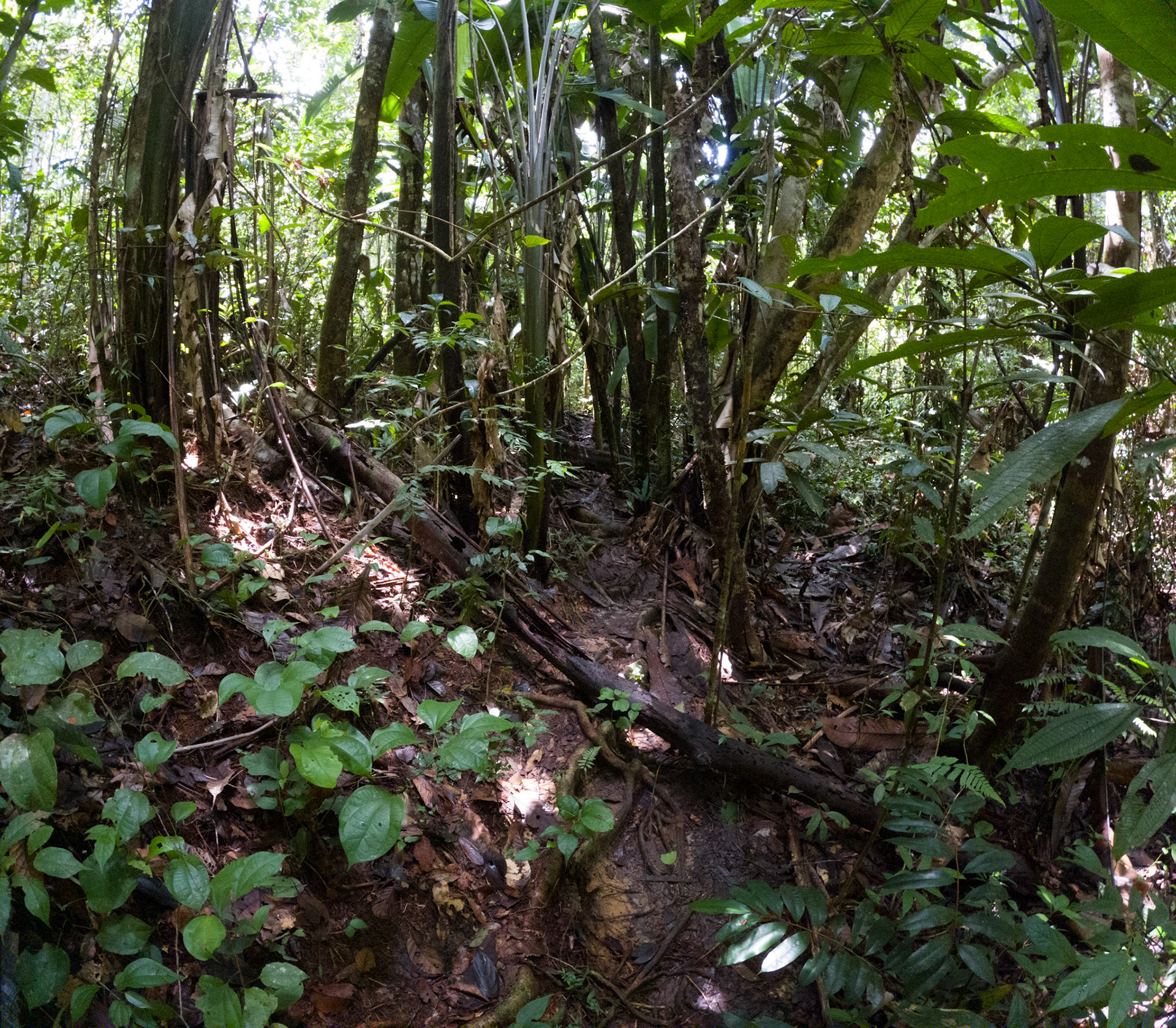 C:\DCIM\100GOPRO\GOPR2424.GPR