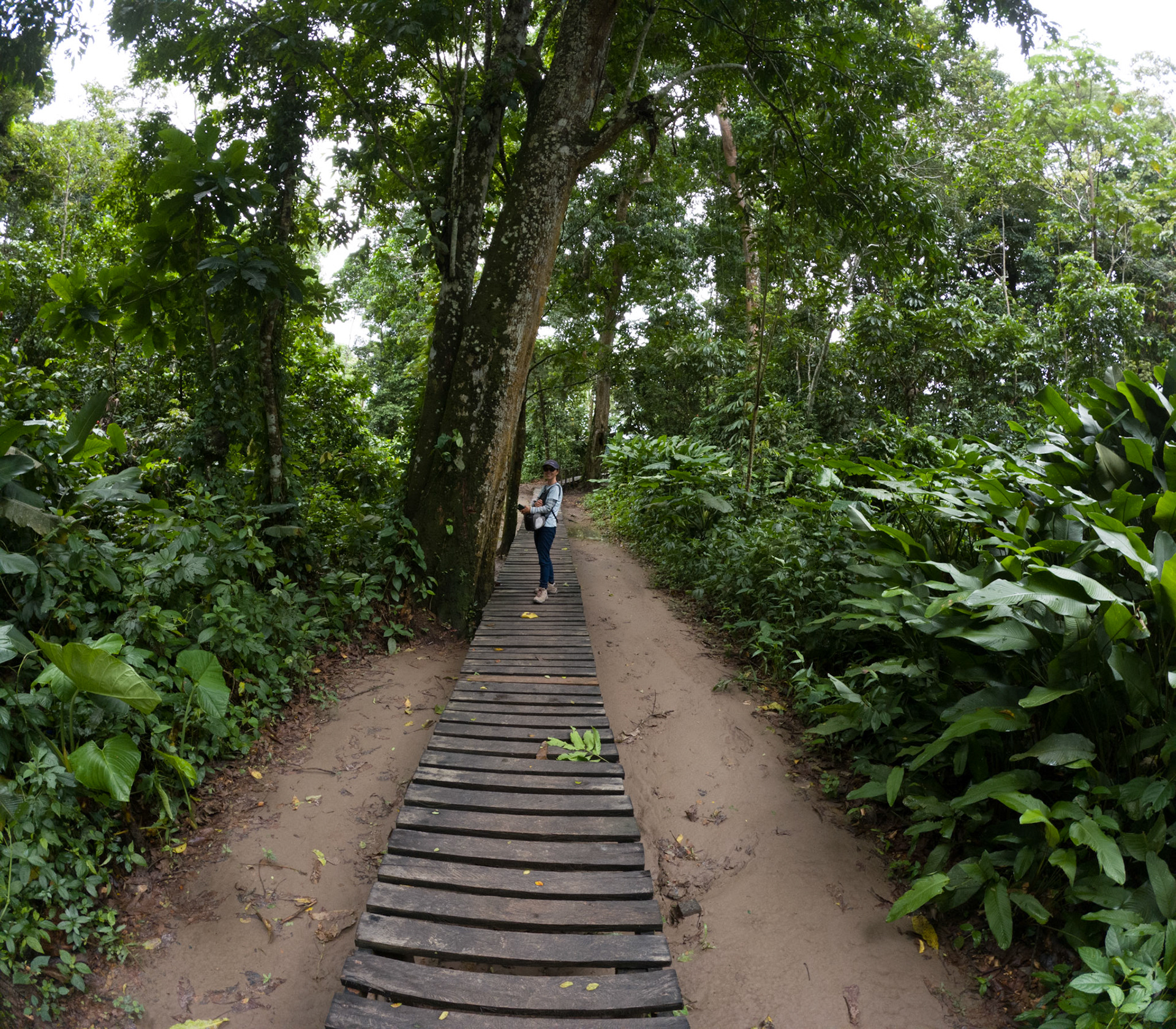 C:\DCIM\100GOPRO\GOPR2458.GPR