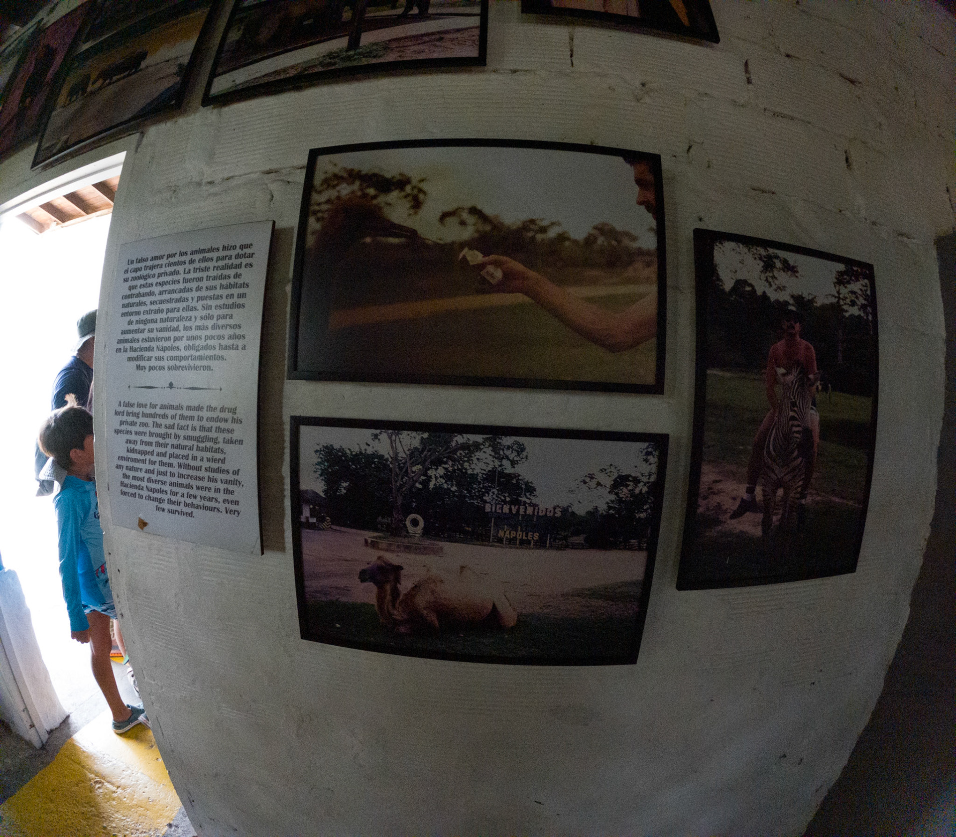 C:\DCIM\100GOPRO\GOPR2369.GPR