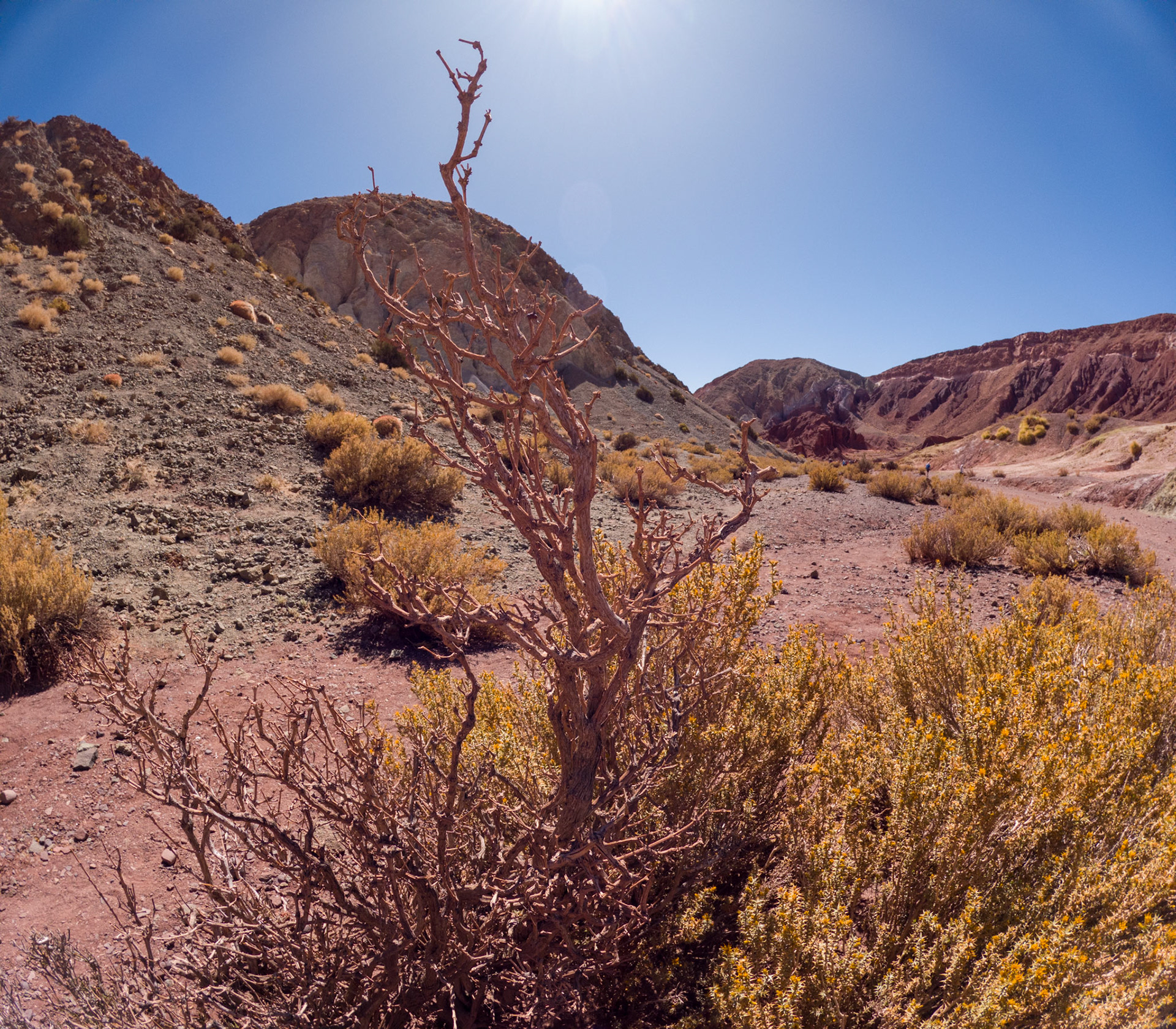 C:\DCIM\100GOPRO\GOPR1271.GPR